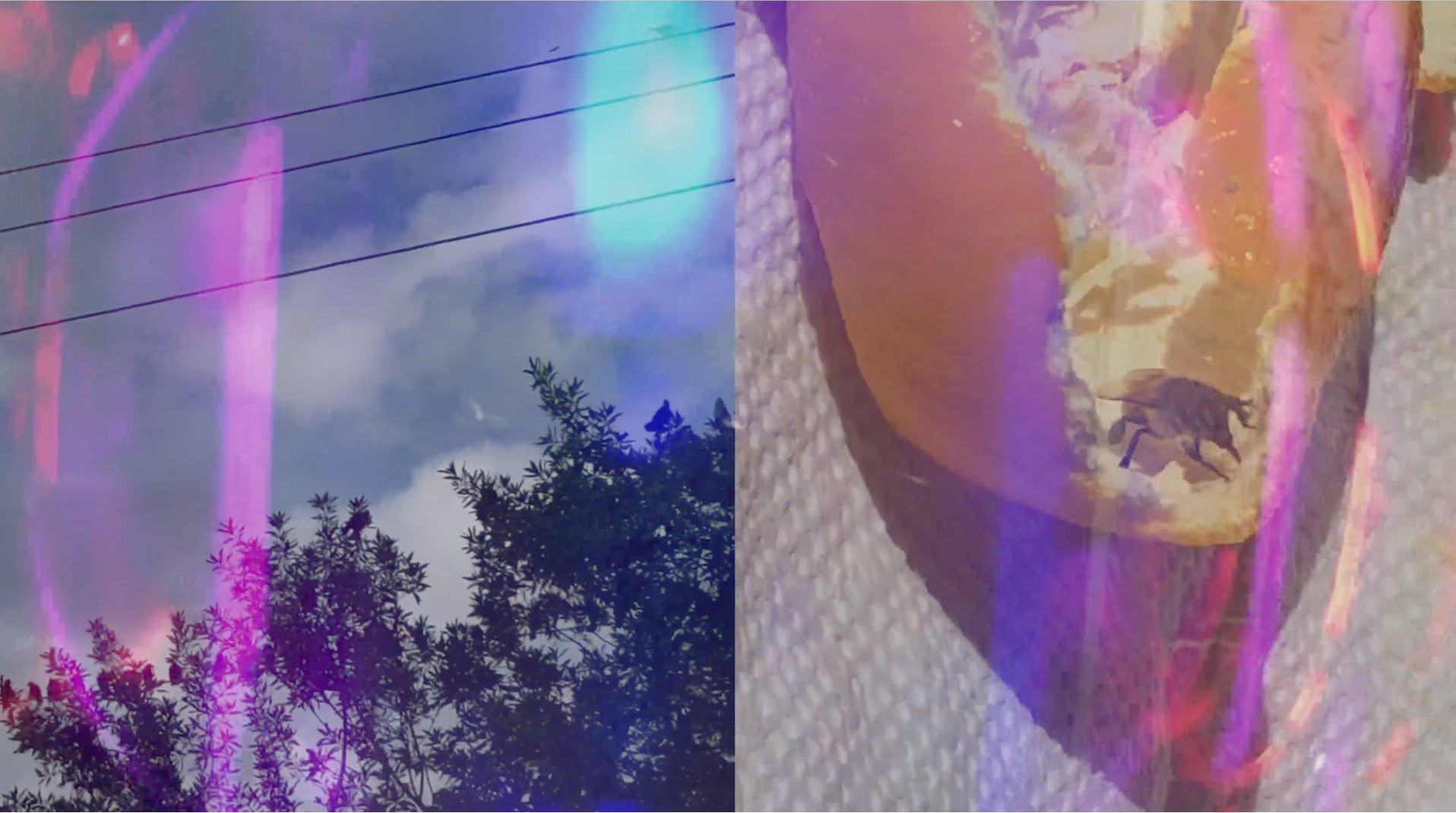 Screen Shot 2022-08-07 at 7.58.53 PM.png