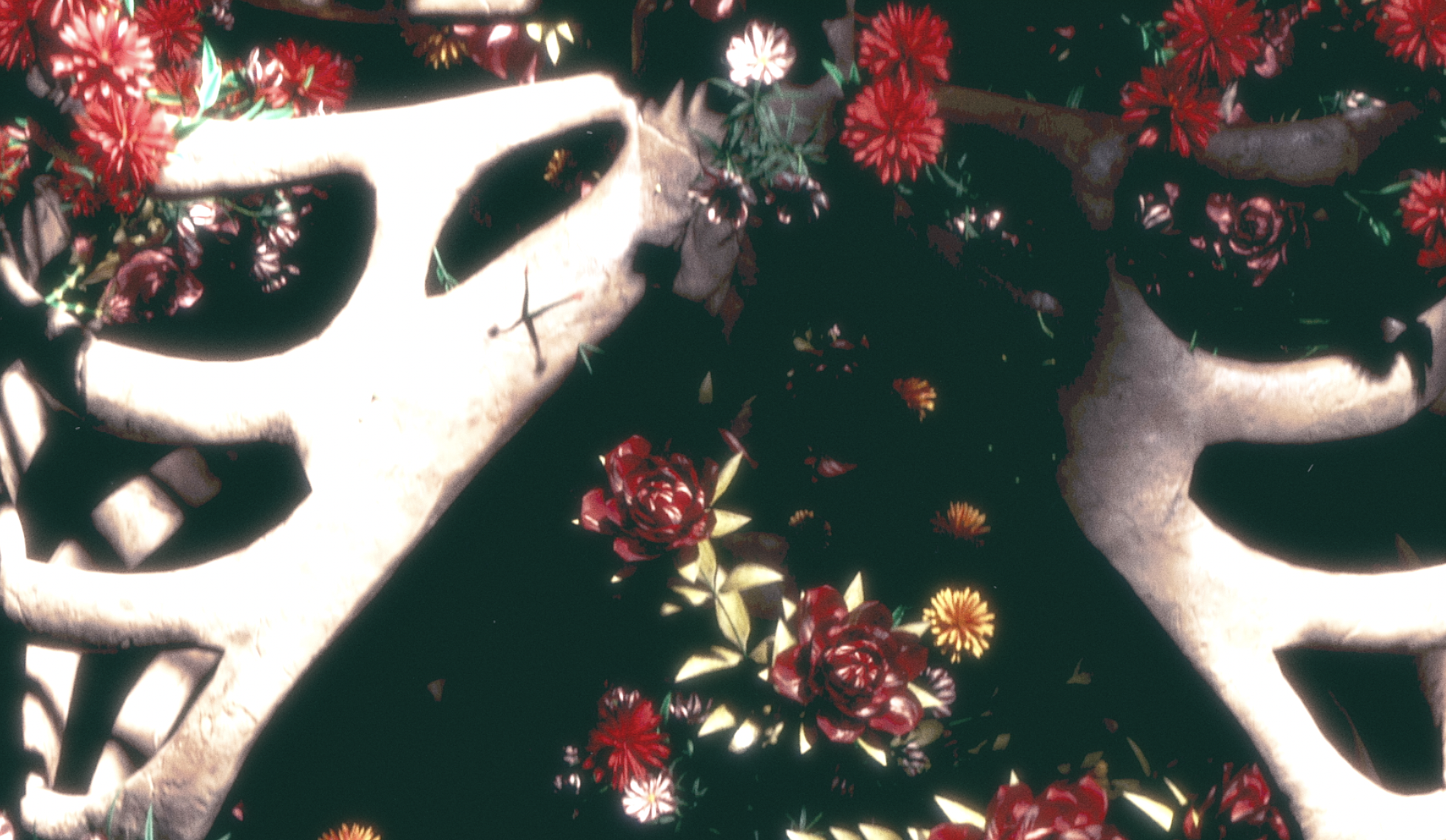 Screen Shot 2023-01-05 at 3.47.28 PM.png