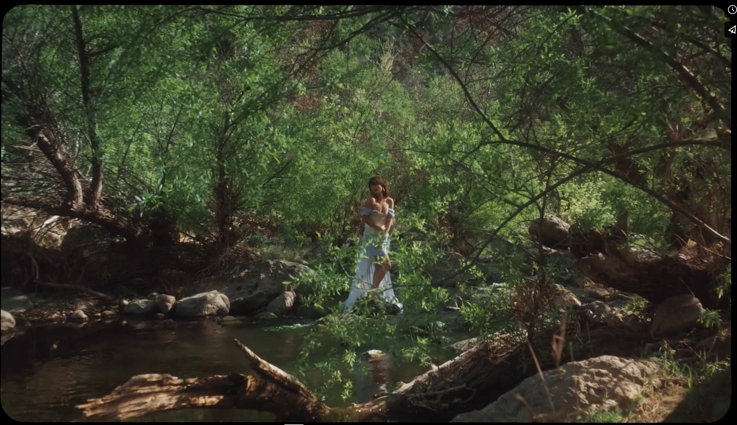 Screen Shot 2022-08-08 at 1.03.41 AM.png