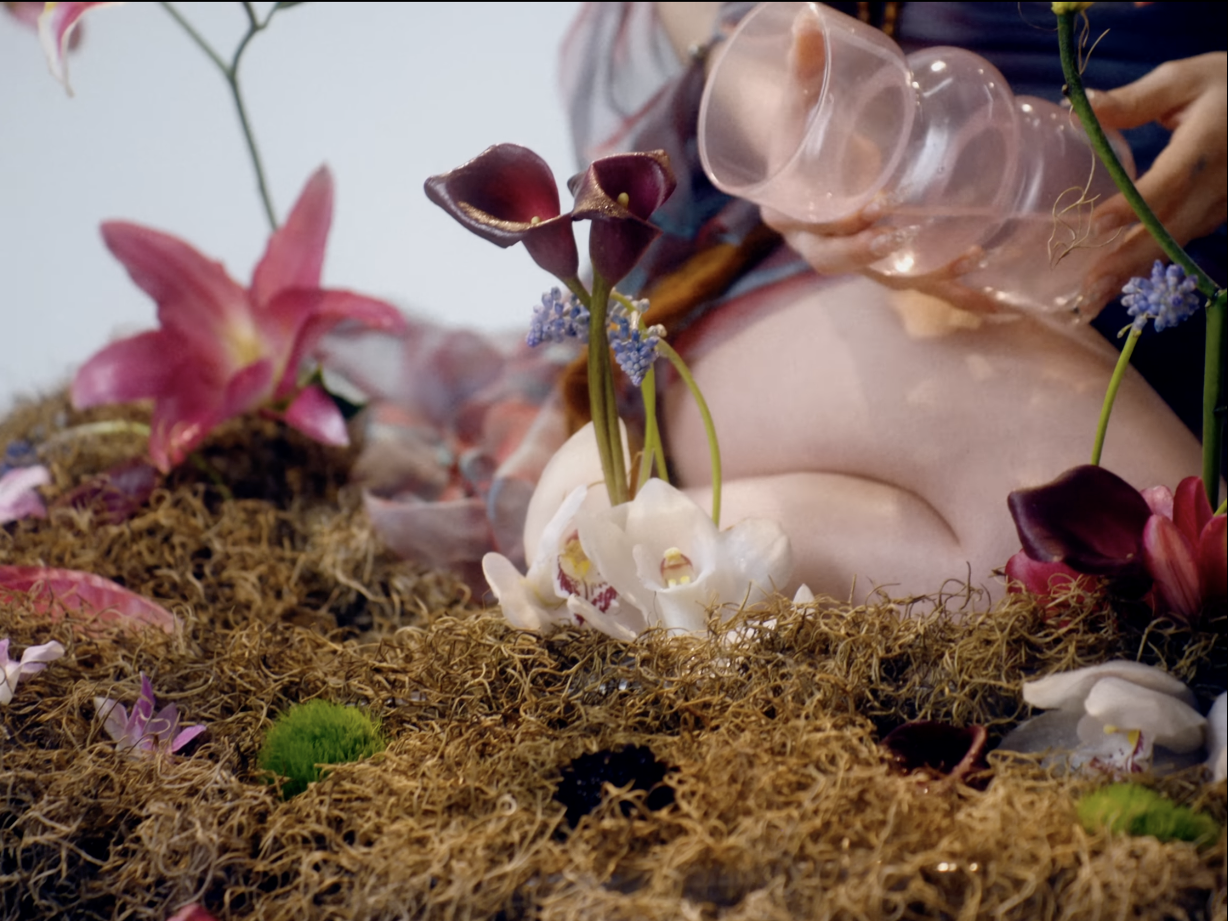 Screenshot 2024-03-14 at 8.52.08 PM.png