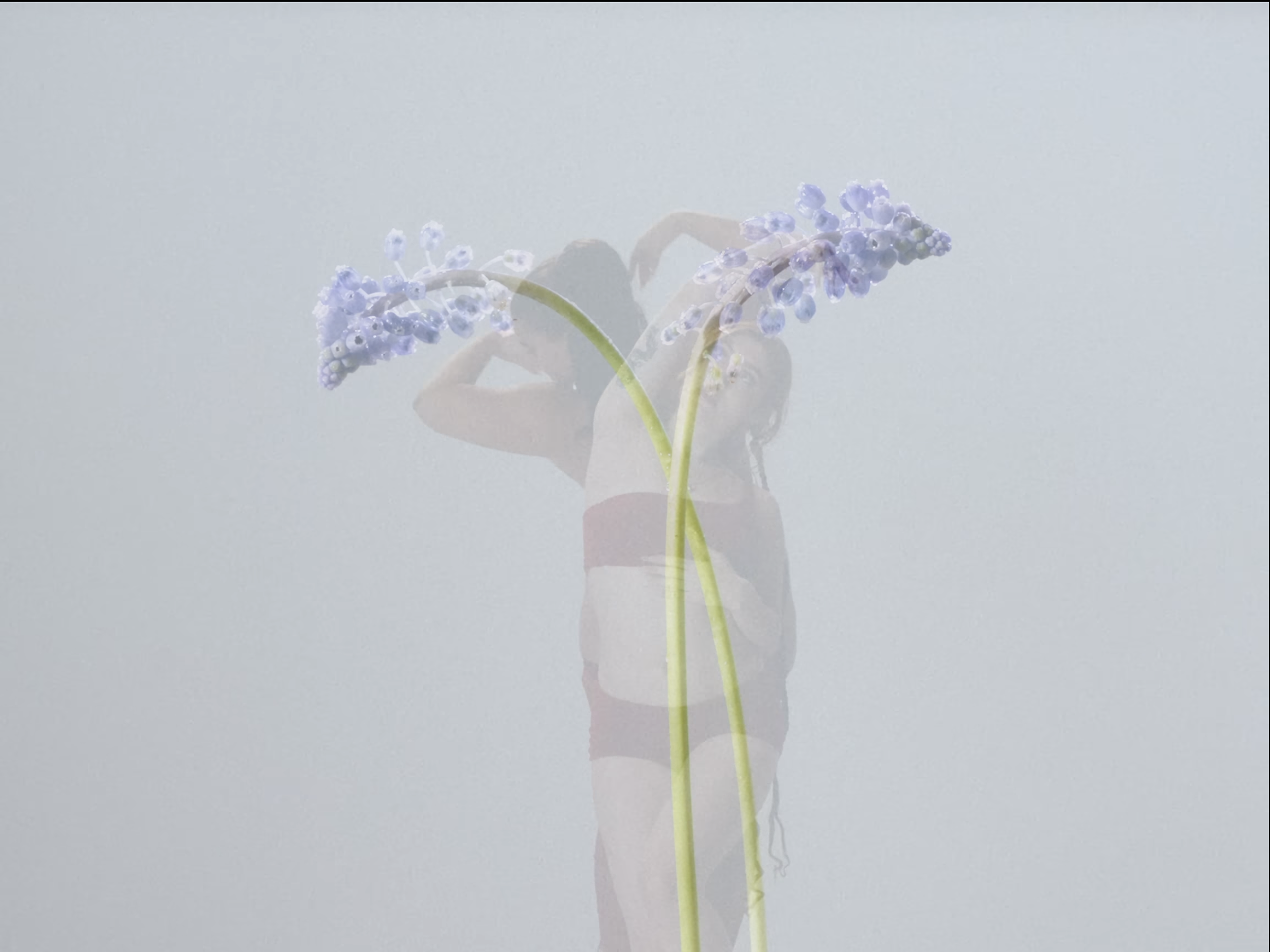 Screenshot 2024-03-14 at 8.49.59 PM.png