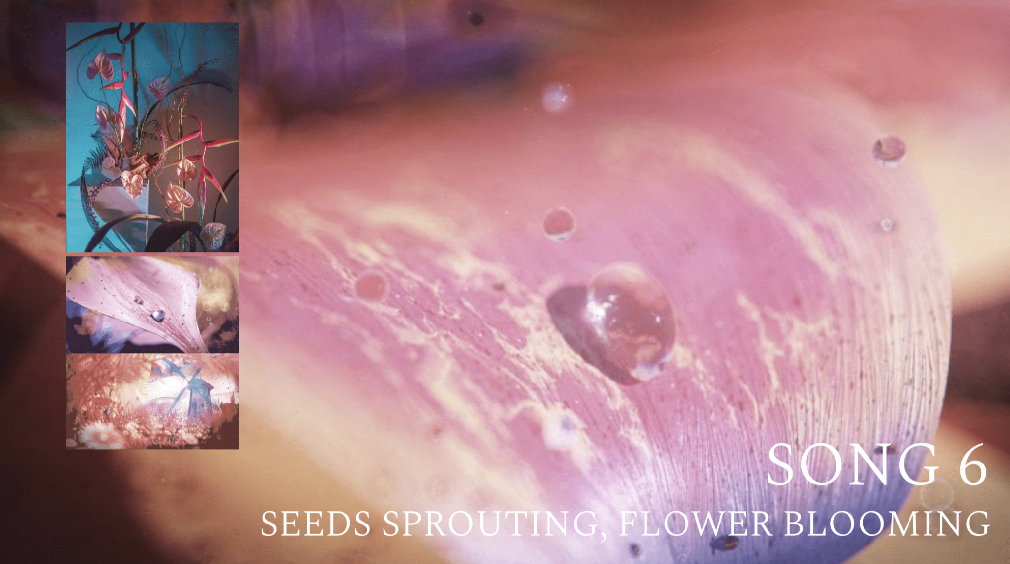 Screen Shot 2023-01-05 at 4.34.29 PM.png