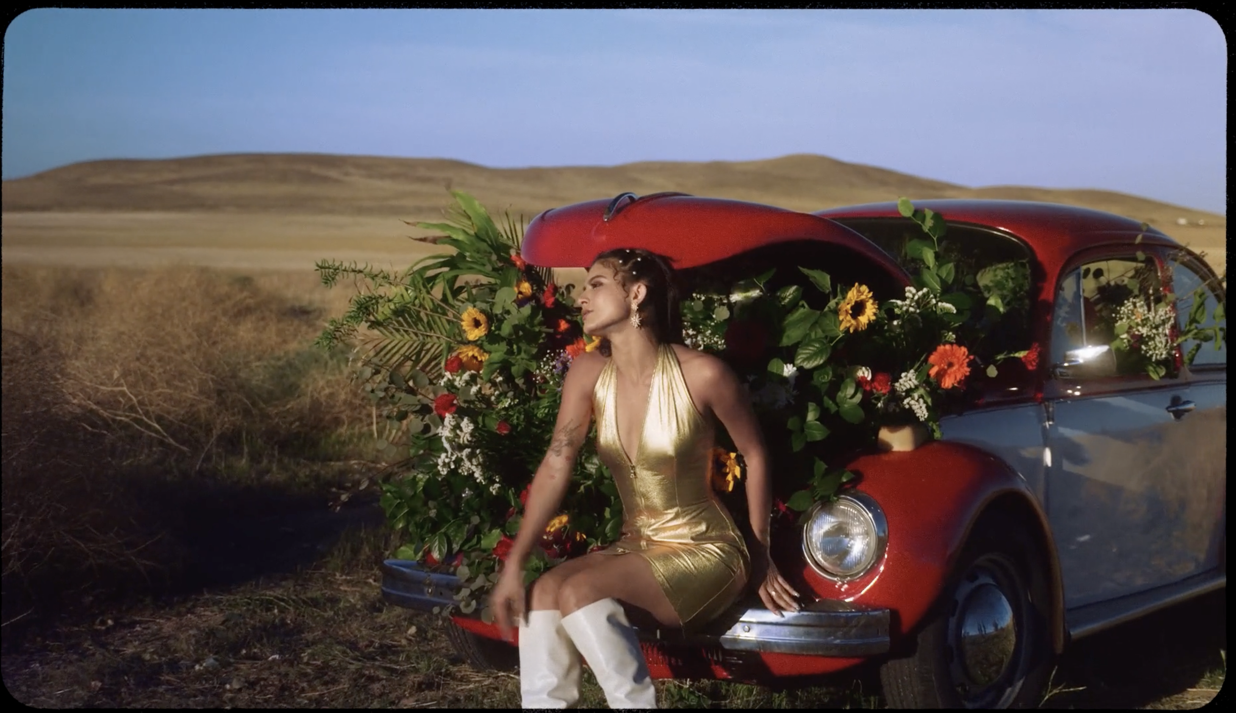 Screen Shot 2022-08-08 at 1.02.42 AM.png