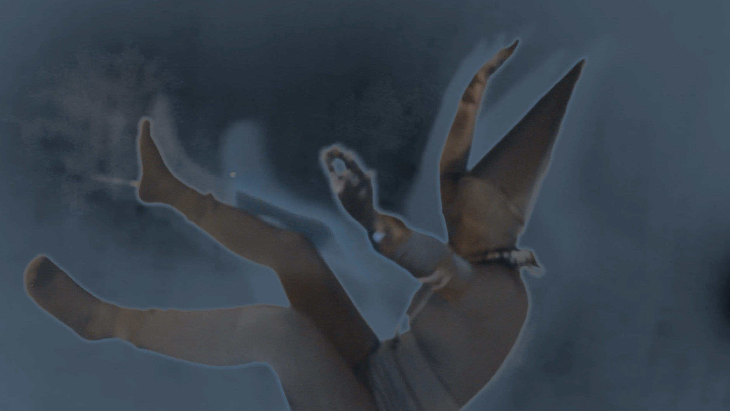 Screen Shot 2022-08-07 at 7.54.32 PM.png