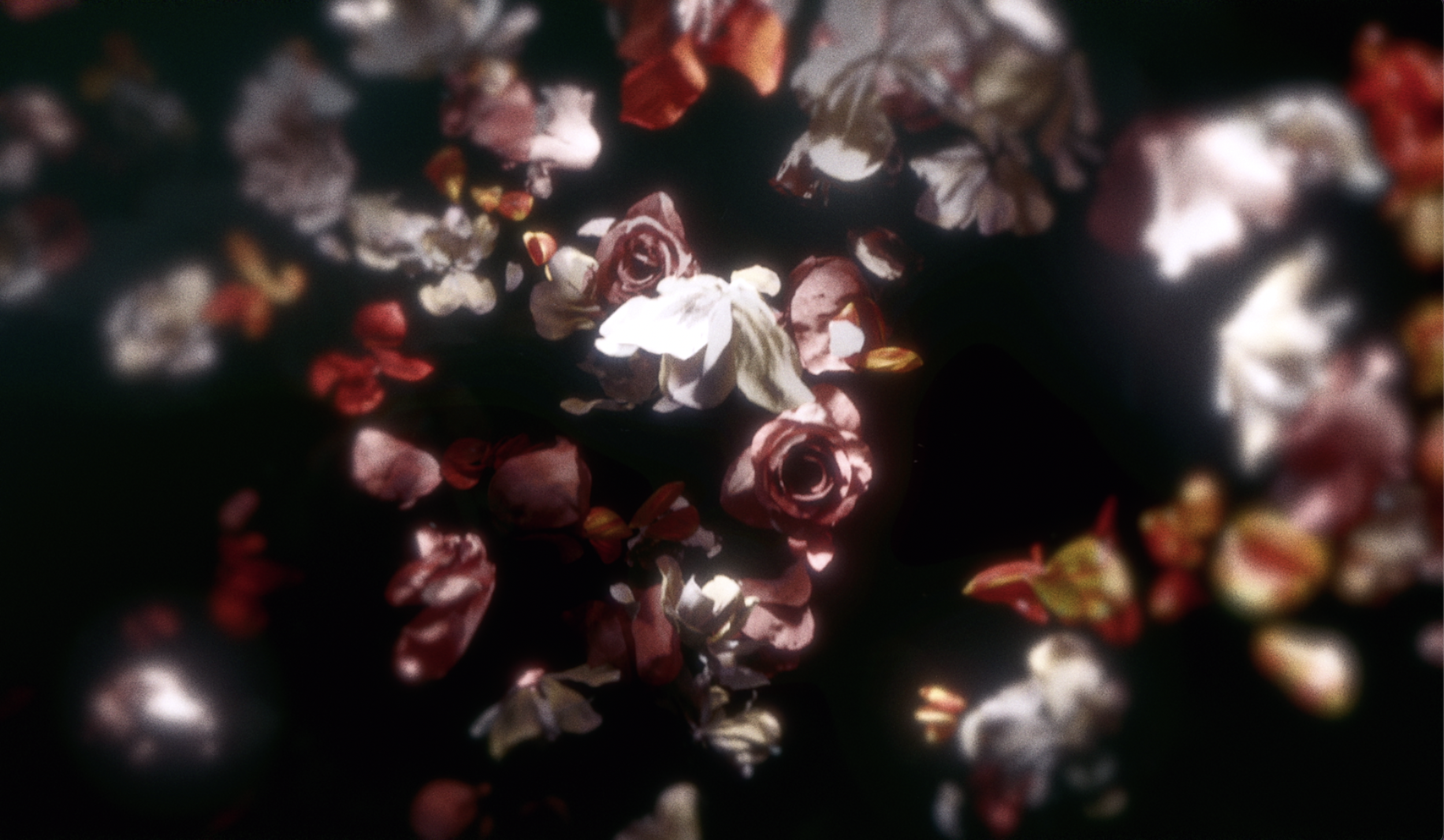 Screen Shot 2023-01-05 at 3.46.27 PM.png