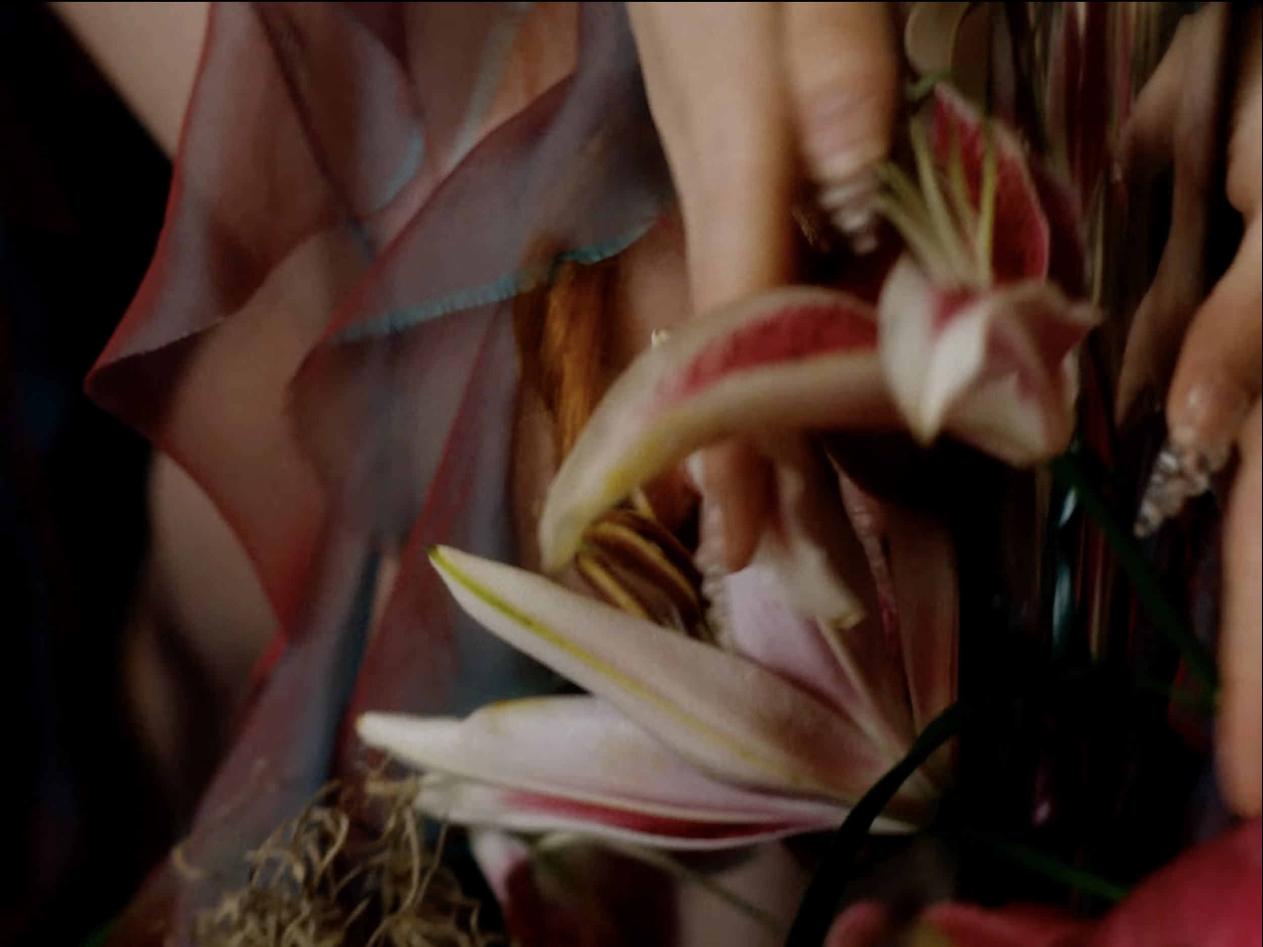 Screenshot 2024-03-14 at 8.49.07 PM.png