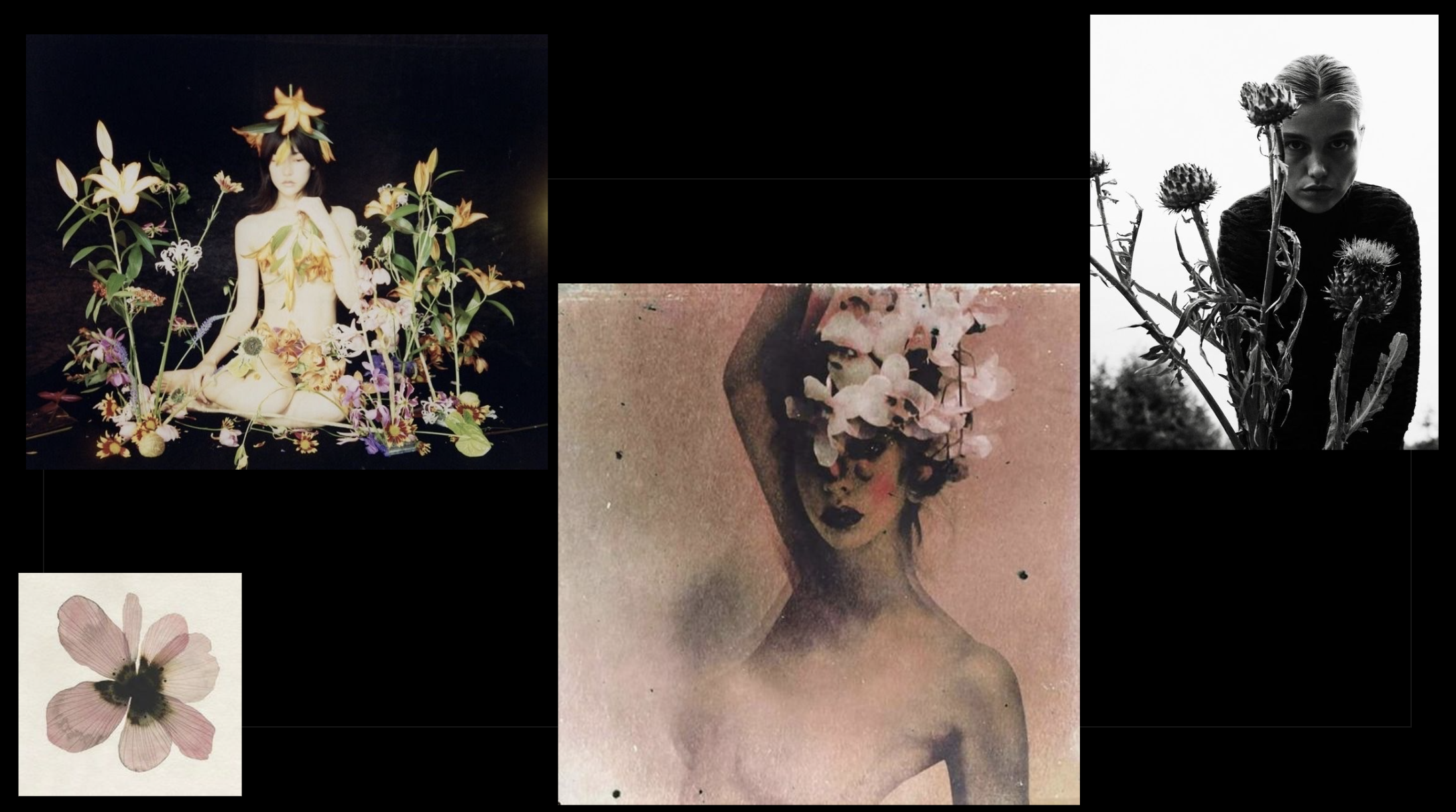 Screen Shot 2023-03-31 at 2.24.40 AM.png