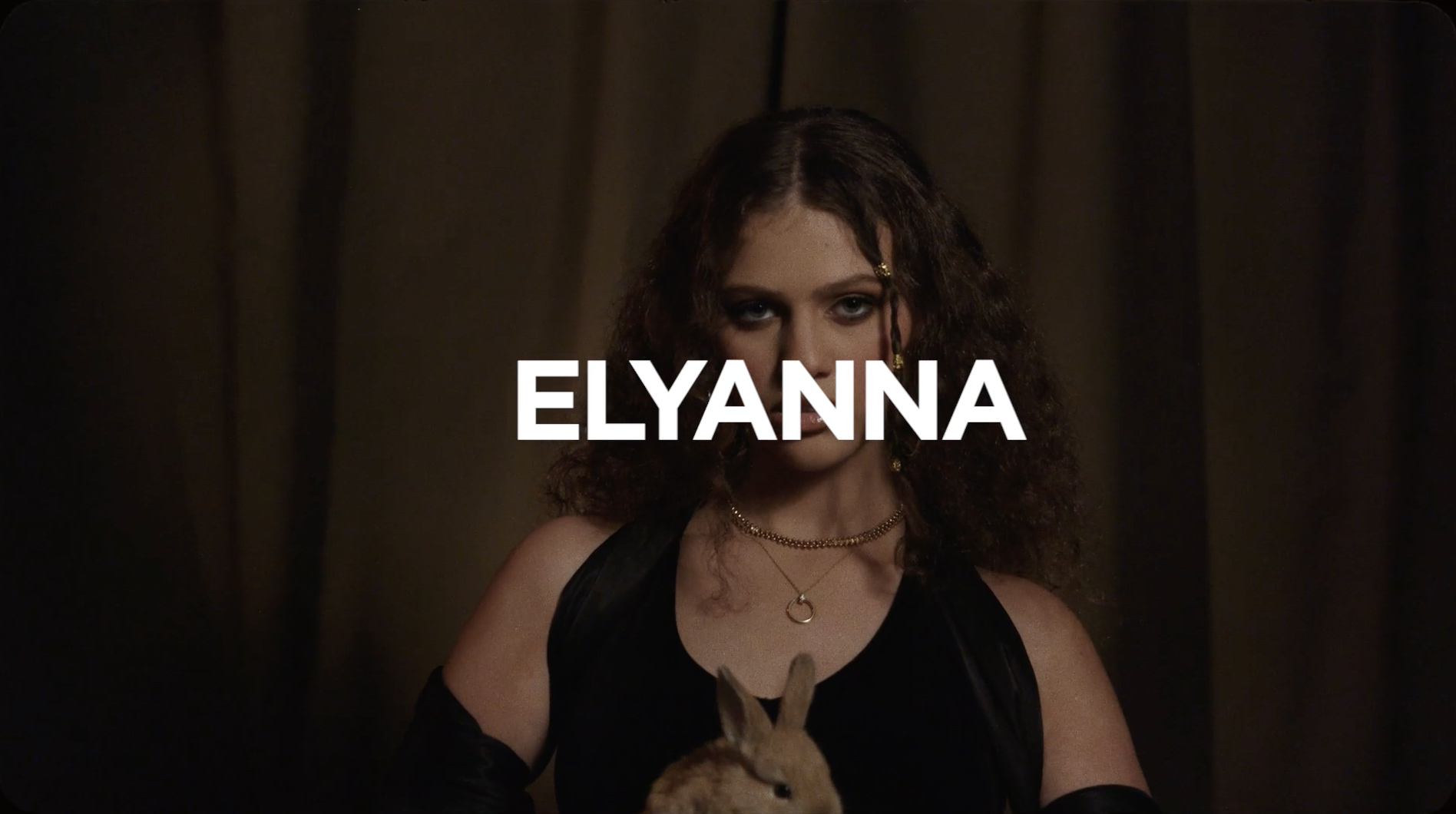 Screen Shot 2022-08-08 at 3.43.38 AM.png