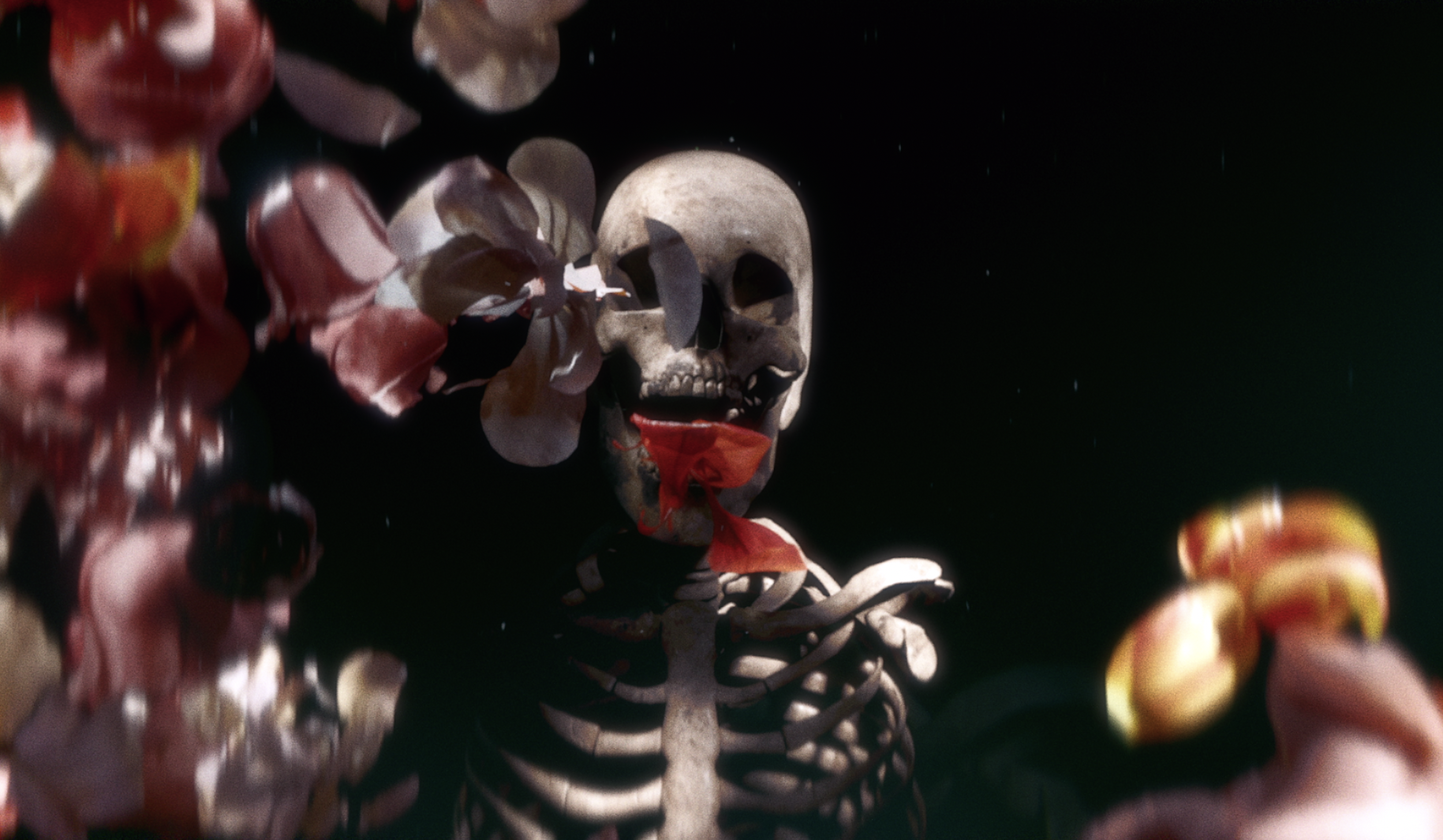 Screen Shot 2023-01-05 at 3.46.39 PM.png