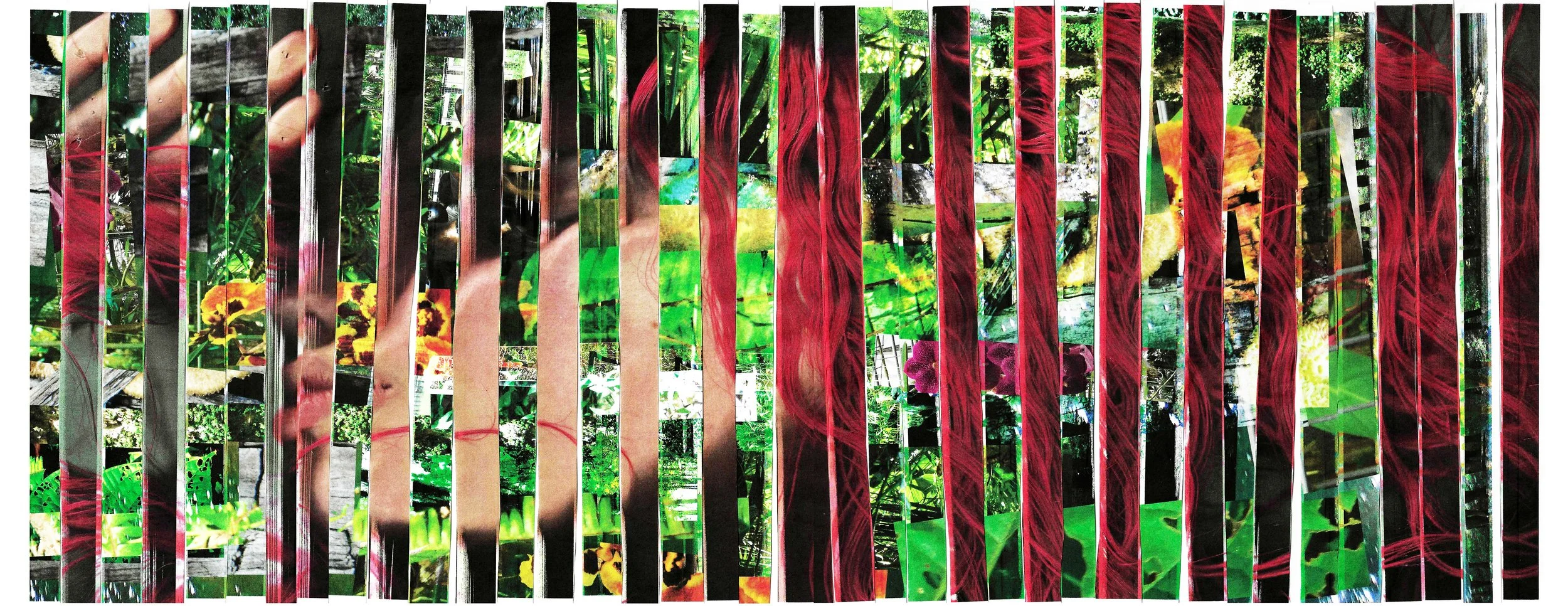 mi tiempo en la floridav2.jpg