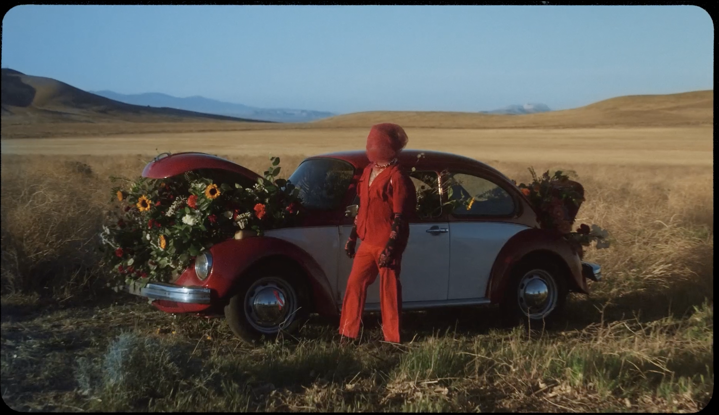 Screen Shot 2022-08-08 at 1.03.07 AM.png