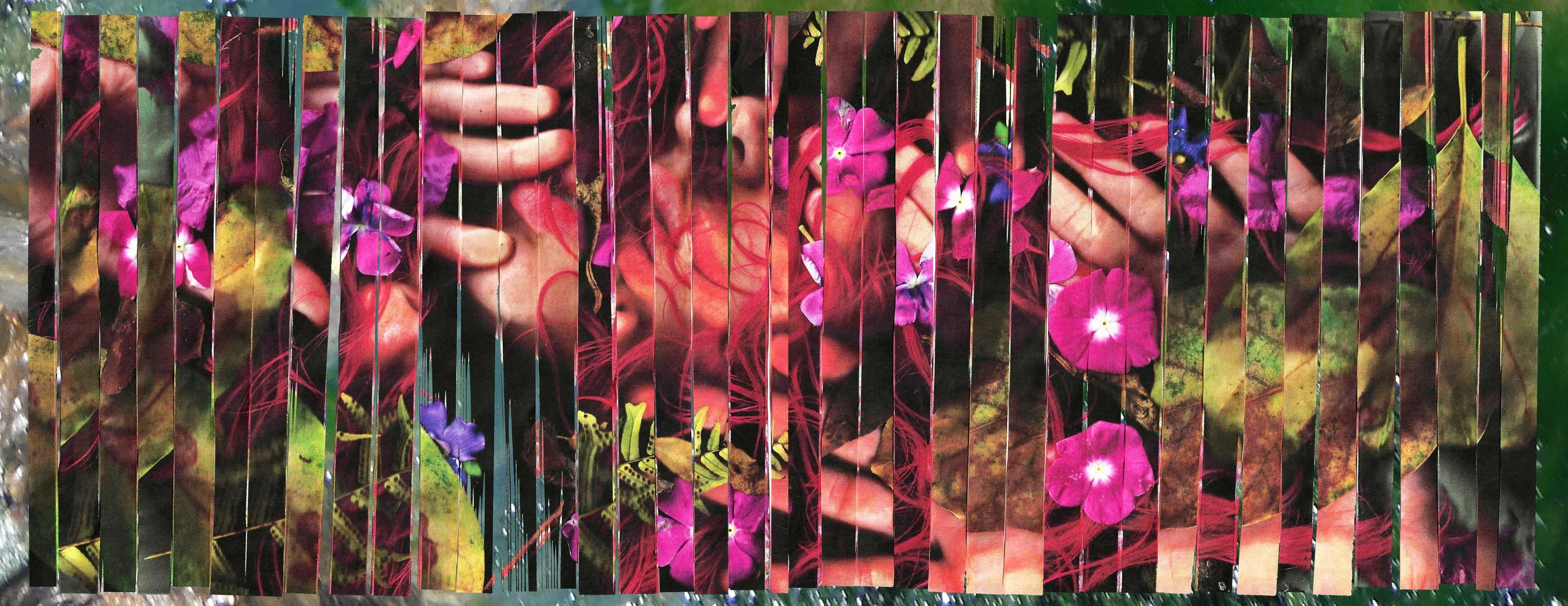 el patio de mi casa v2.jpg