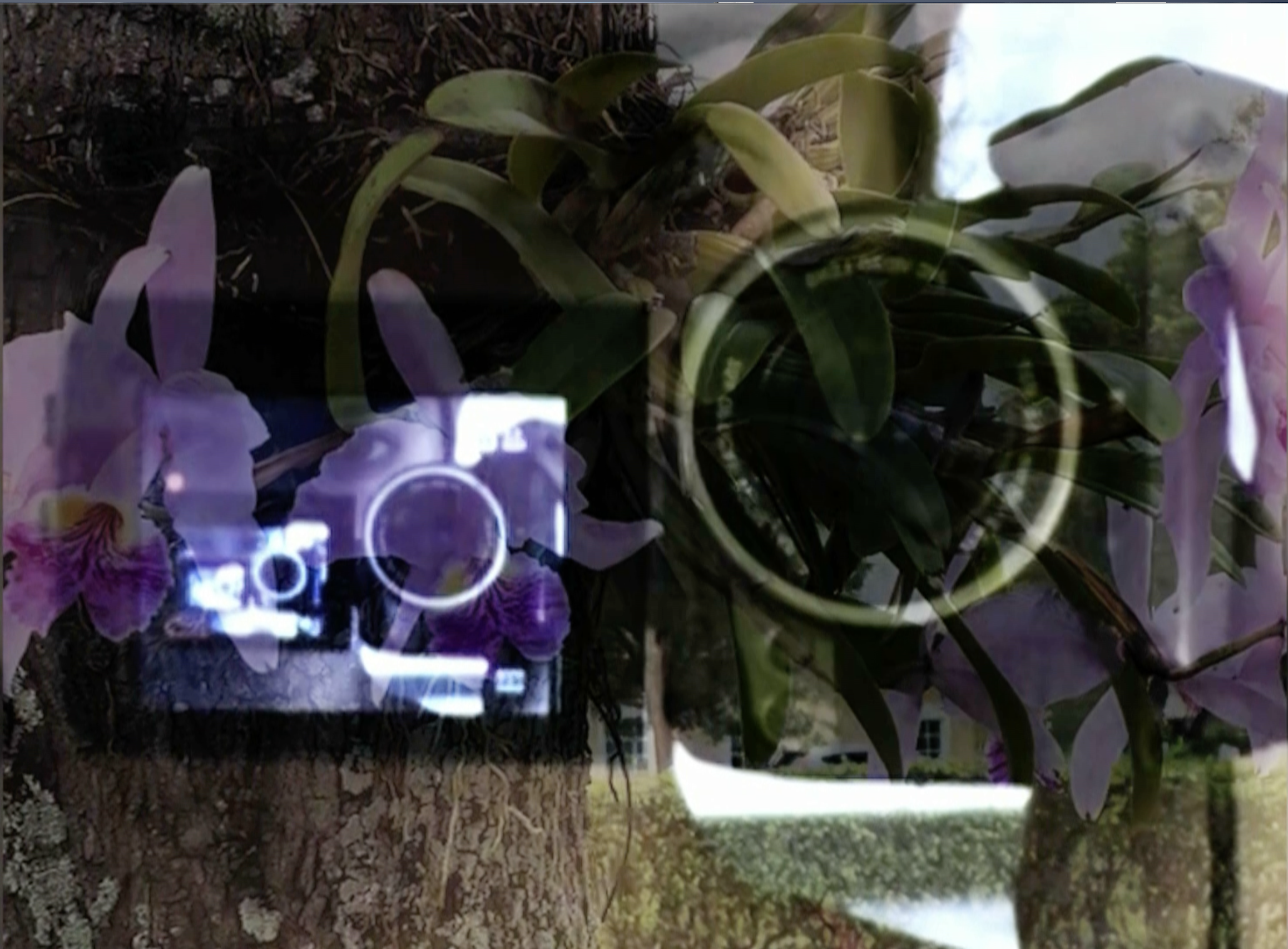 Screenshot 2024-03-14 at 9.30.13 PM.png