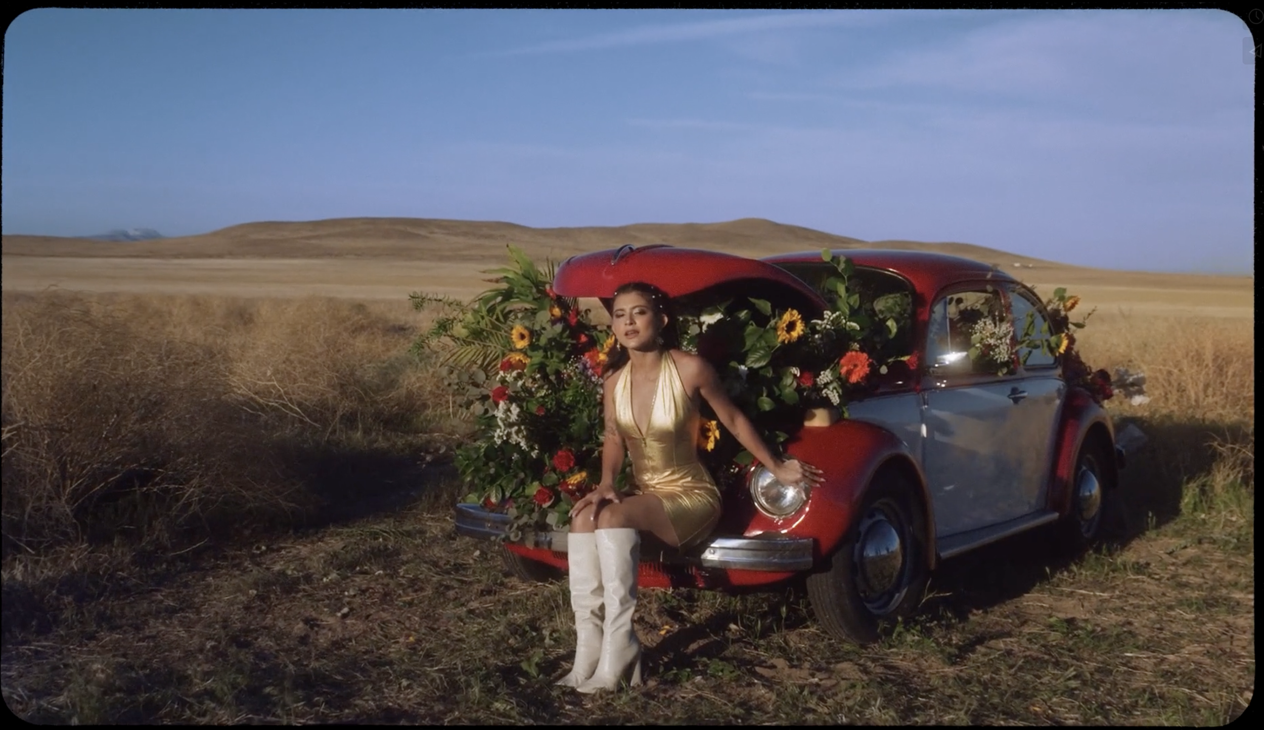 Screen Shot 2022-08-08 at 1.03.14 AM.png