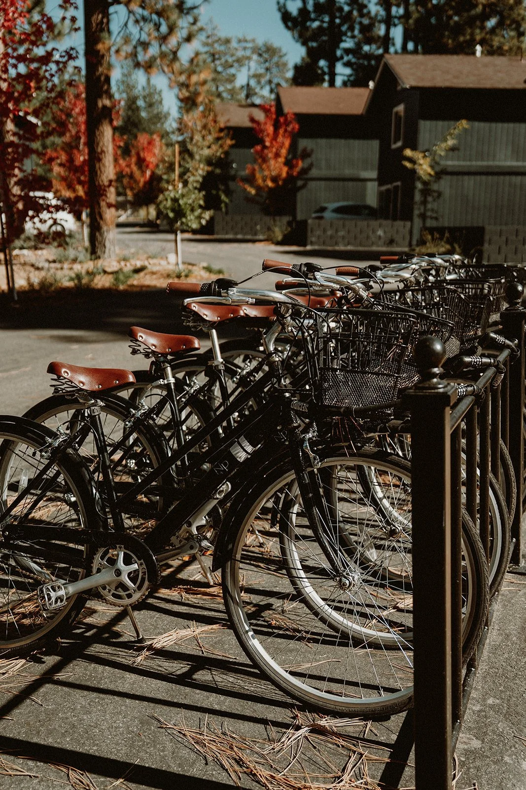 2025 10-11 Masamoto-Ortiz Wedding 0003.jpg