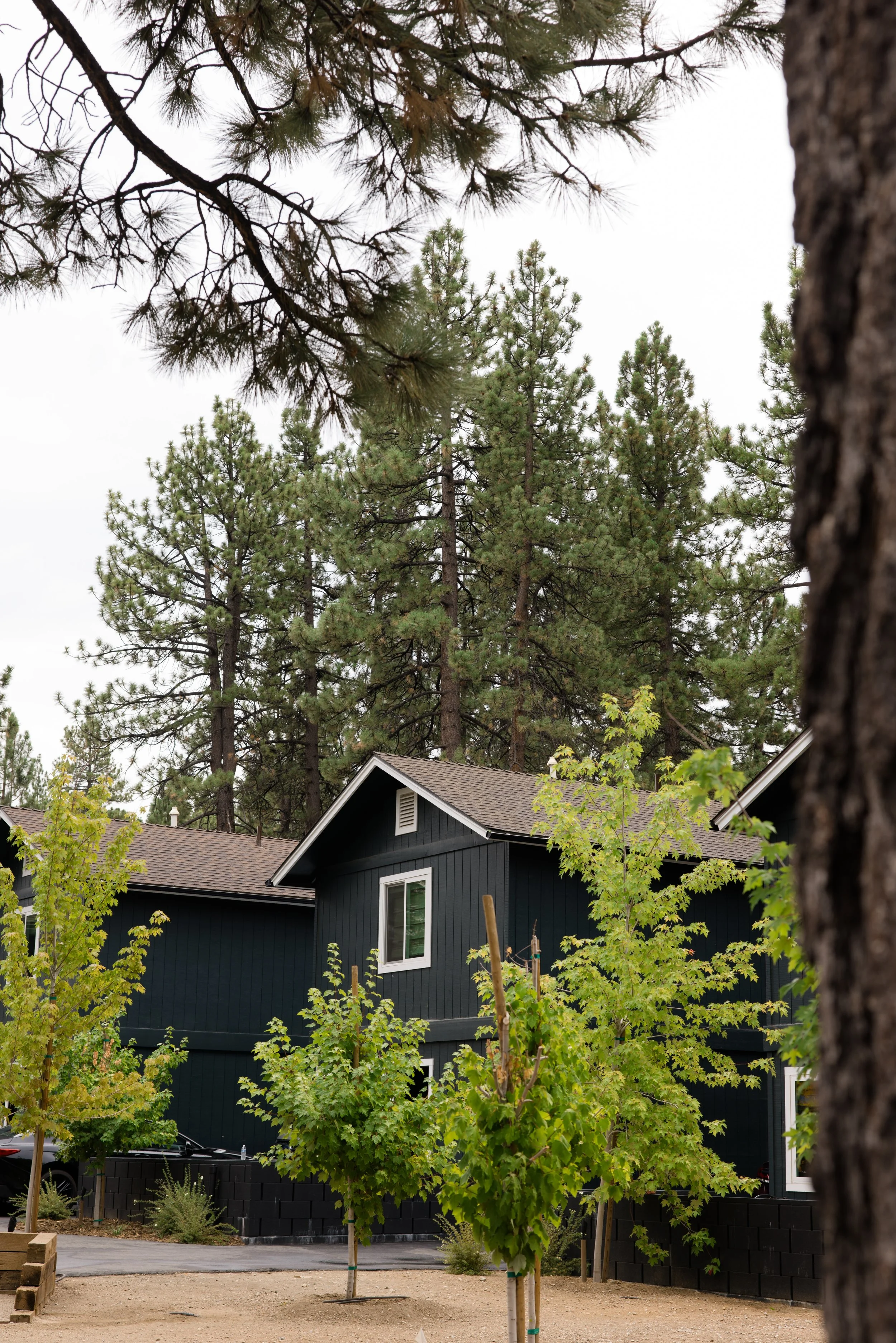 Jayden + Nicholas Previews -62.jpg