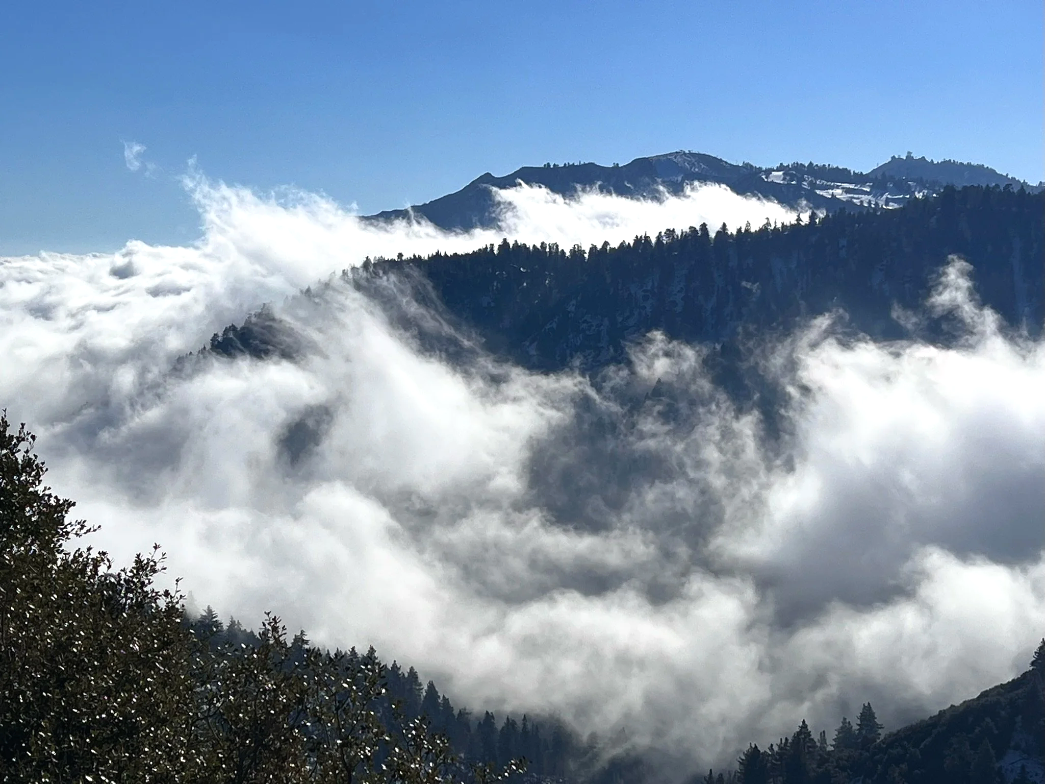 Mountain landscape with cloudy sky and fog covering the trees at the base of the mountains.