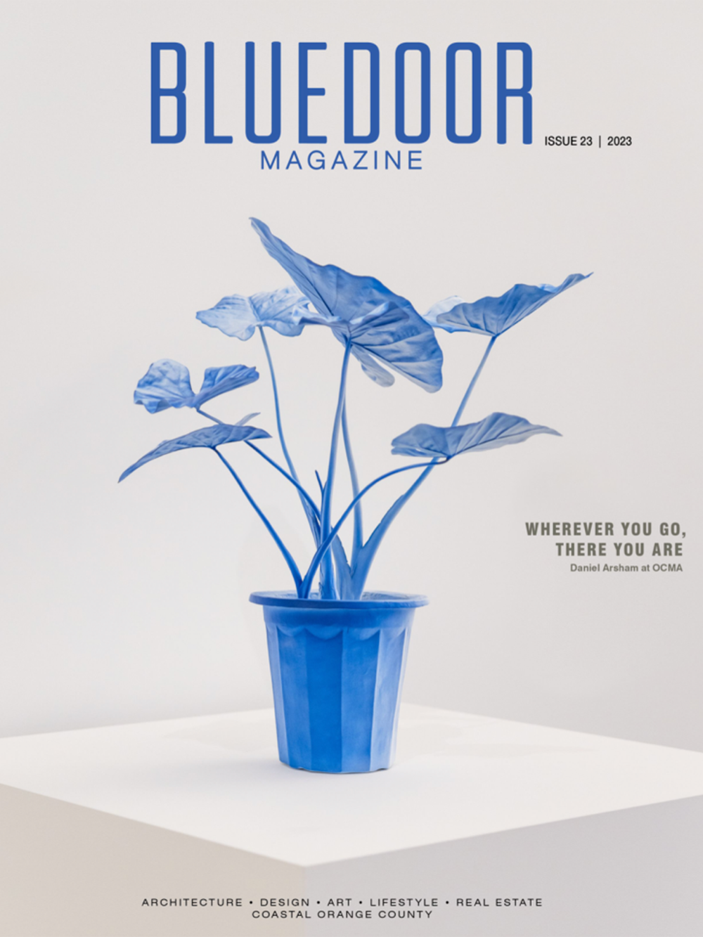 Blue Door Magazine