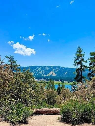 Scenic view of a mountain landscape with trees, blue sky, and a valley below.