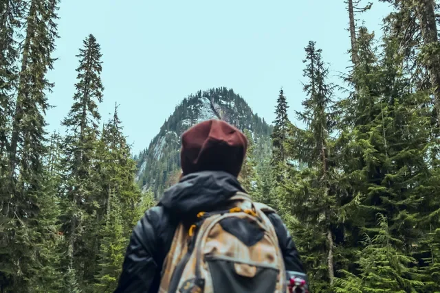 Person in outdoors gear hiking through a dense forest with tall pine trees, mountain in the background, and a clear sky.