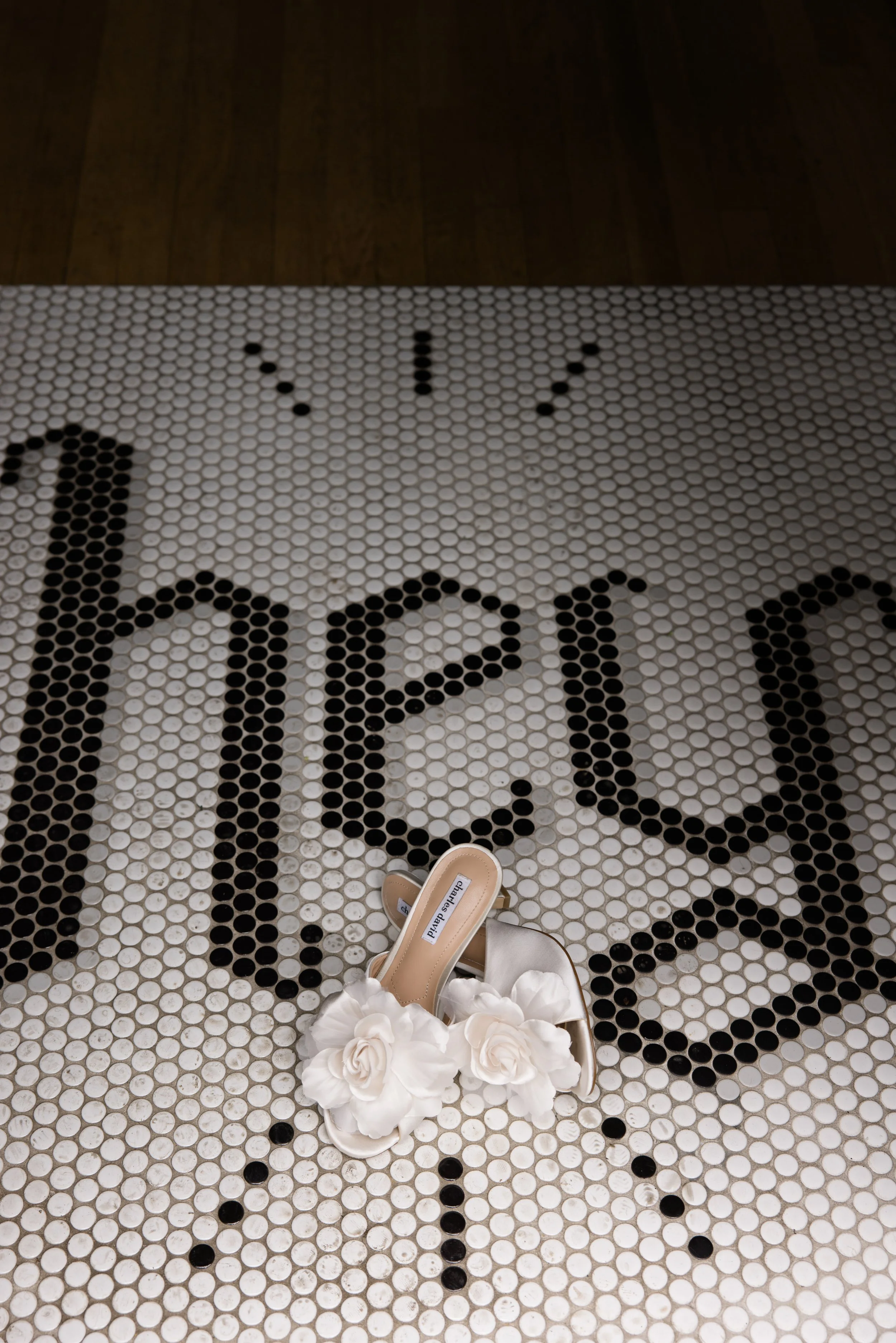 Jayden + Nicholas Previews -63.jpg