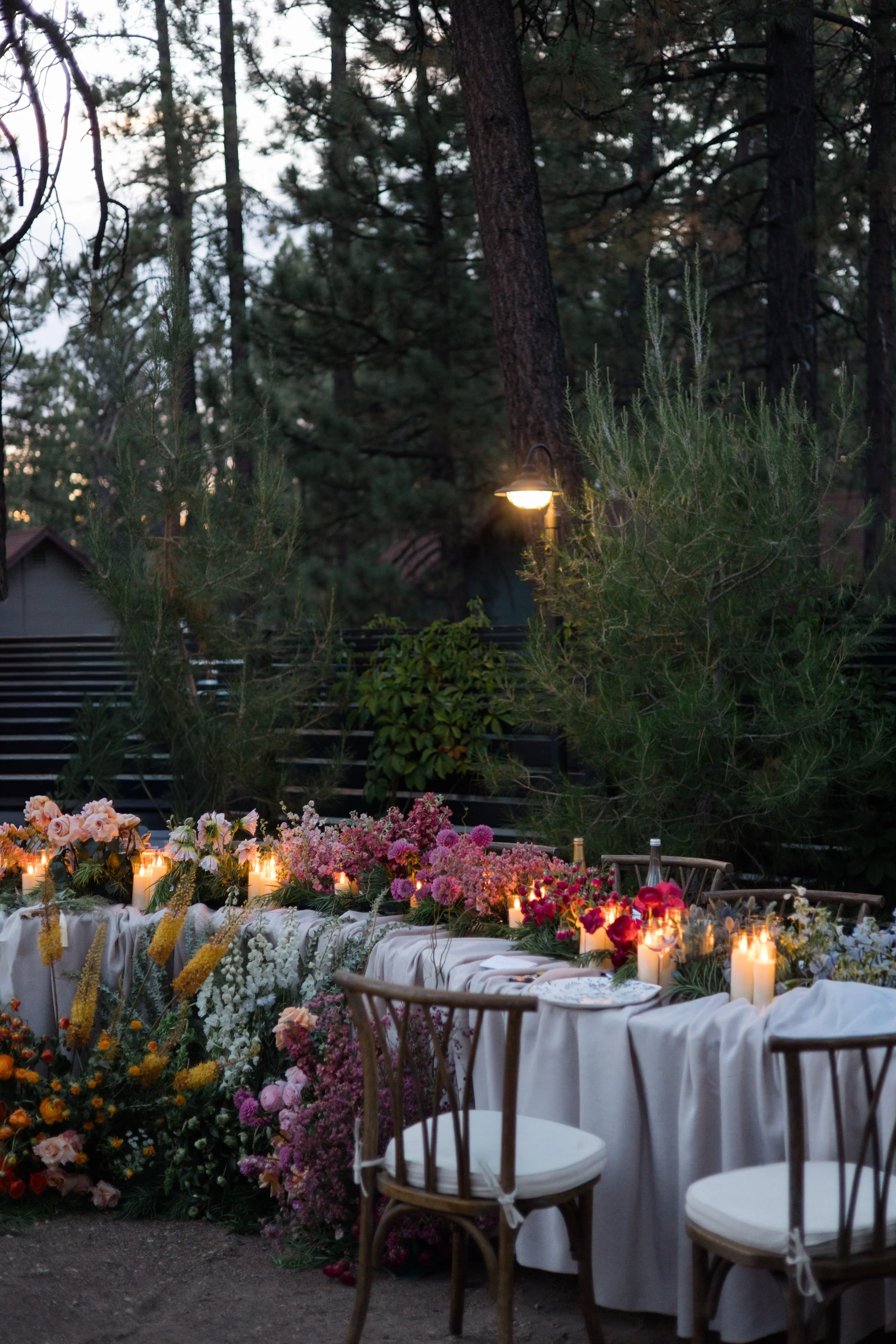 Jayden + Nicholas Previews -143.jpg