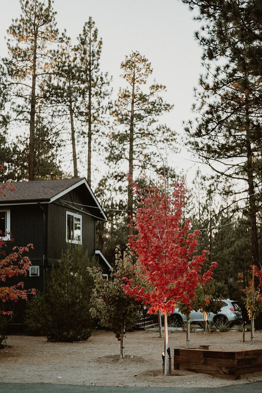 2025 10-11 Masamoto-Ortiz Wedding 0751.jpg