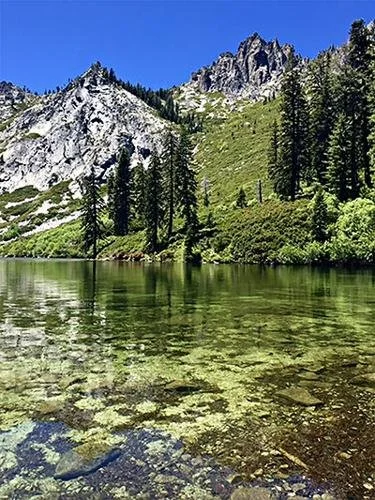 A clear mountain lake surrounded by green trees and rugged mountain peaks under a bright blue sky.