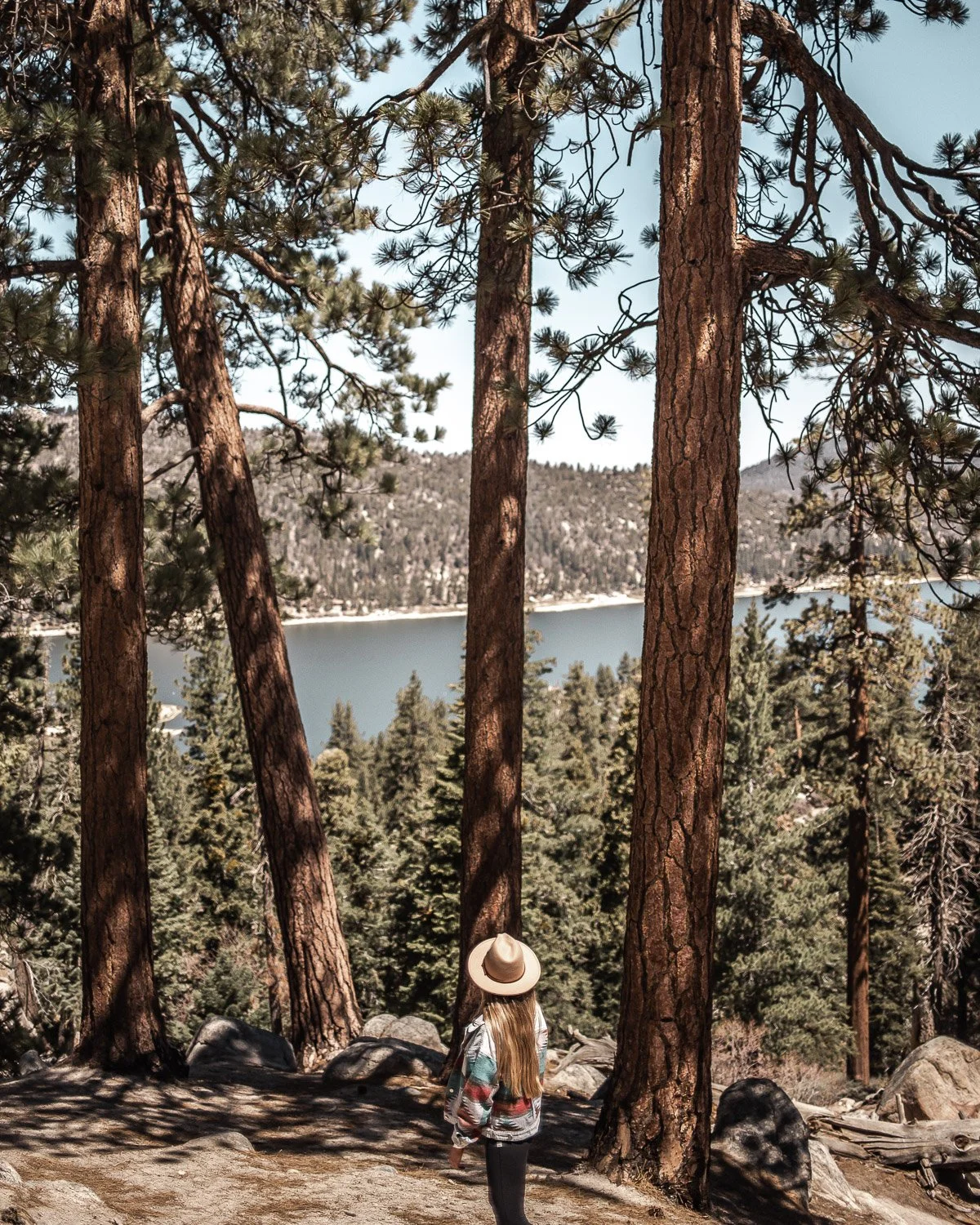 A woman with long blonde hair, wearing a wide-brimmed hat and a backpack, walking through a forest with tall pine trees and a lake in the background.