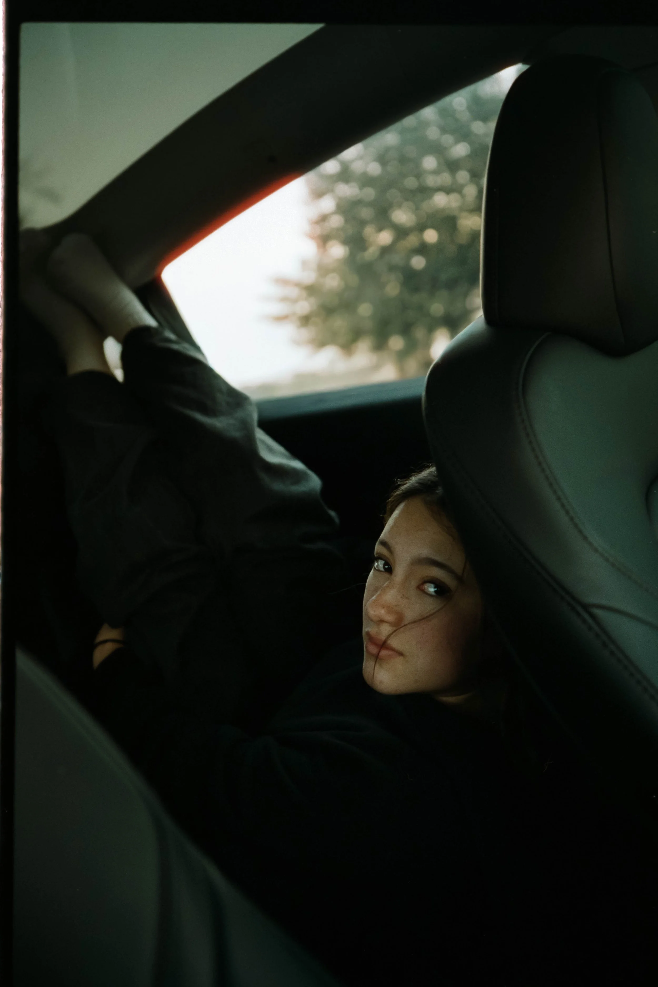 film.ari.jpg