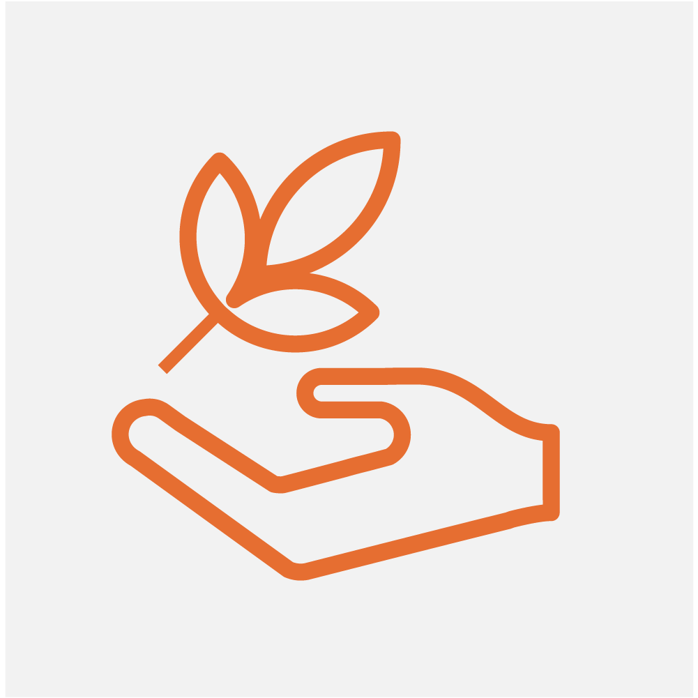 icon 8-8.png