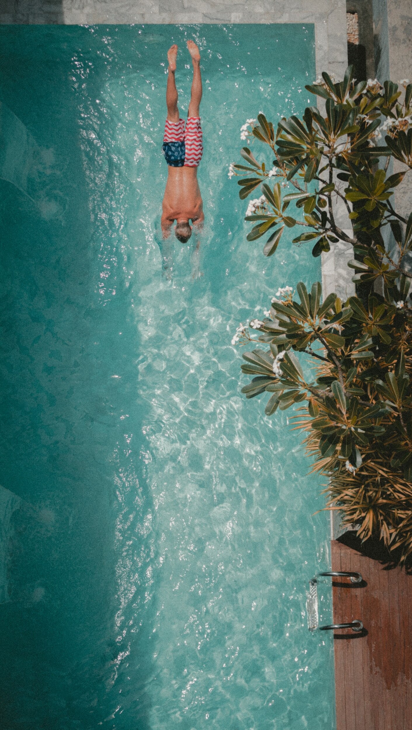 A man diving into a swimming pool while wearing swimming trunks with a red and white checkered pattern and blue sections. There are plants with broad green leaves near the pool edge.