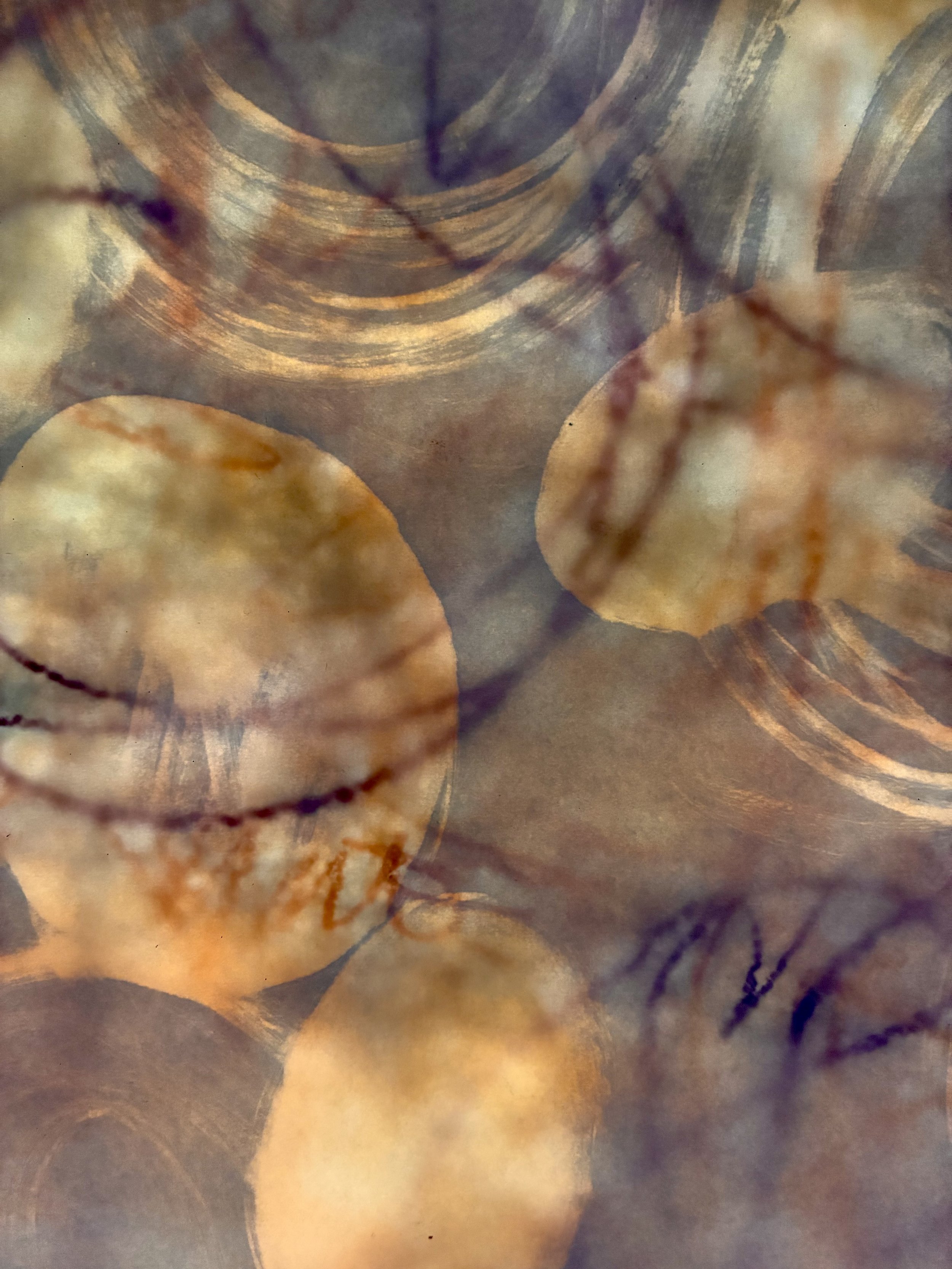  Eggs 3 , 2026. Photograph.
