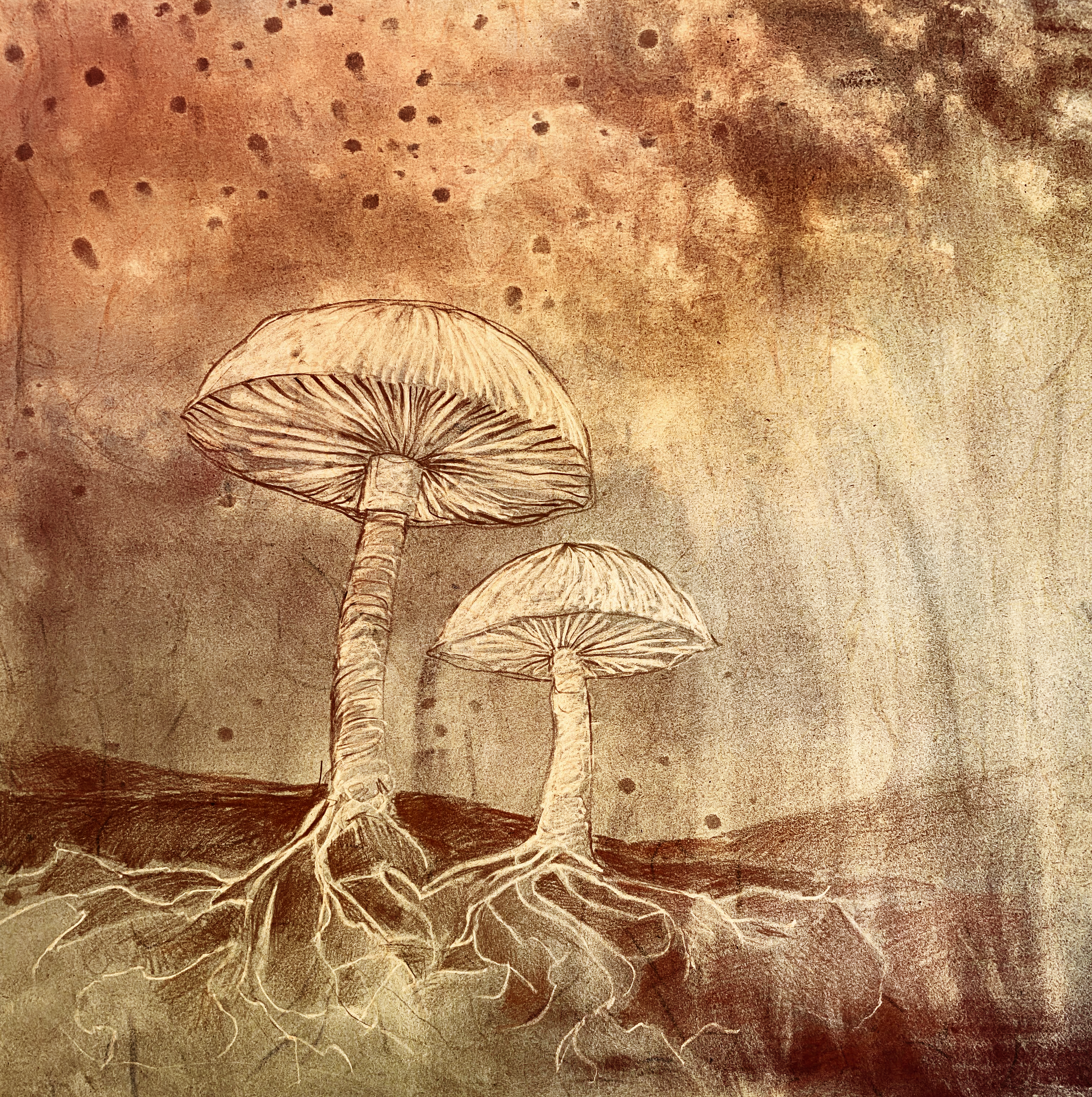  Mushrooms , 2026. Mixed media techniques. 
