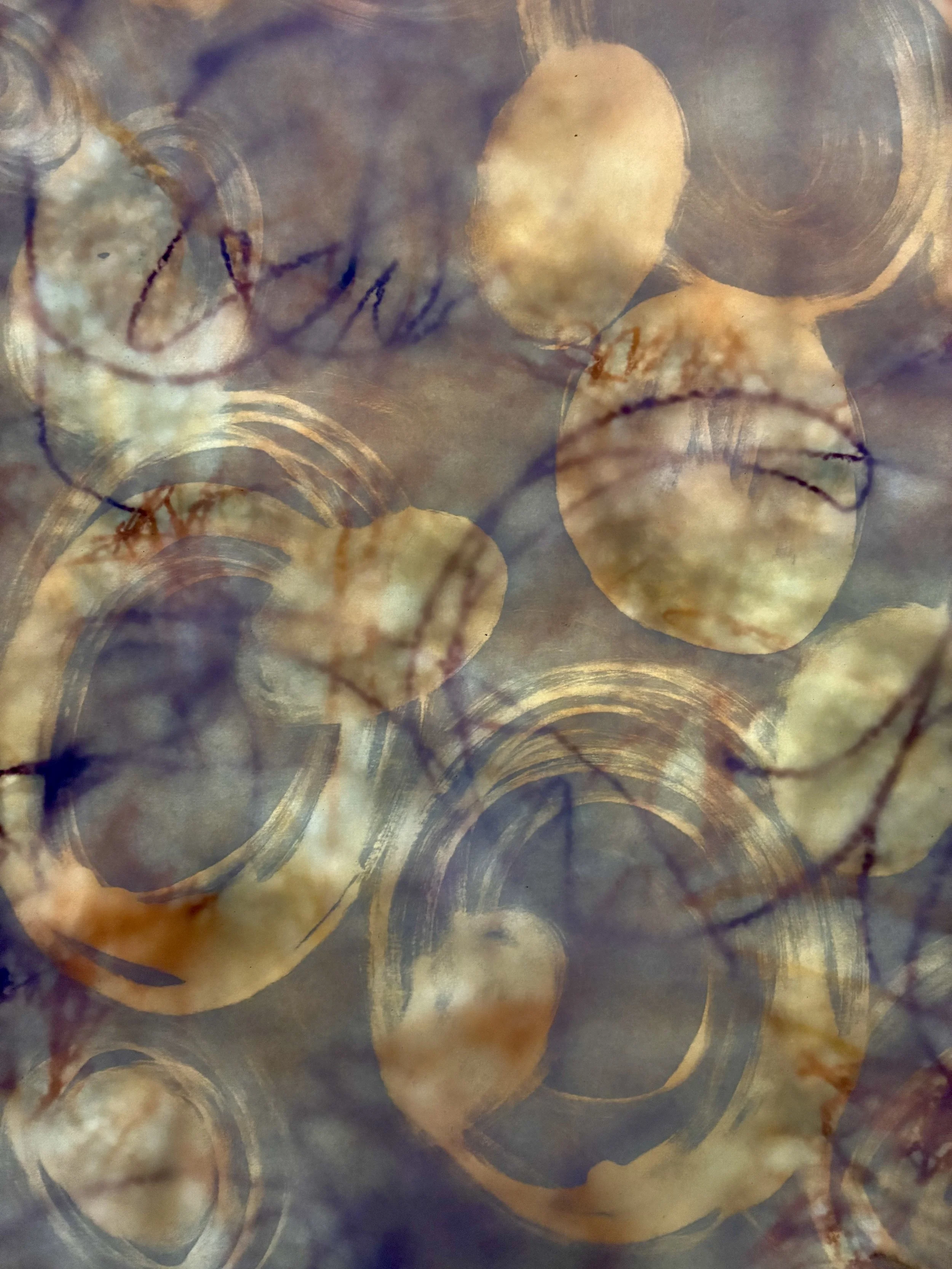  Eggs III (Passover) , 2026. Photograph, 12" x 9".