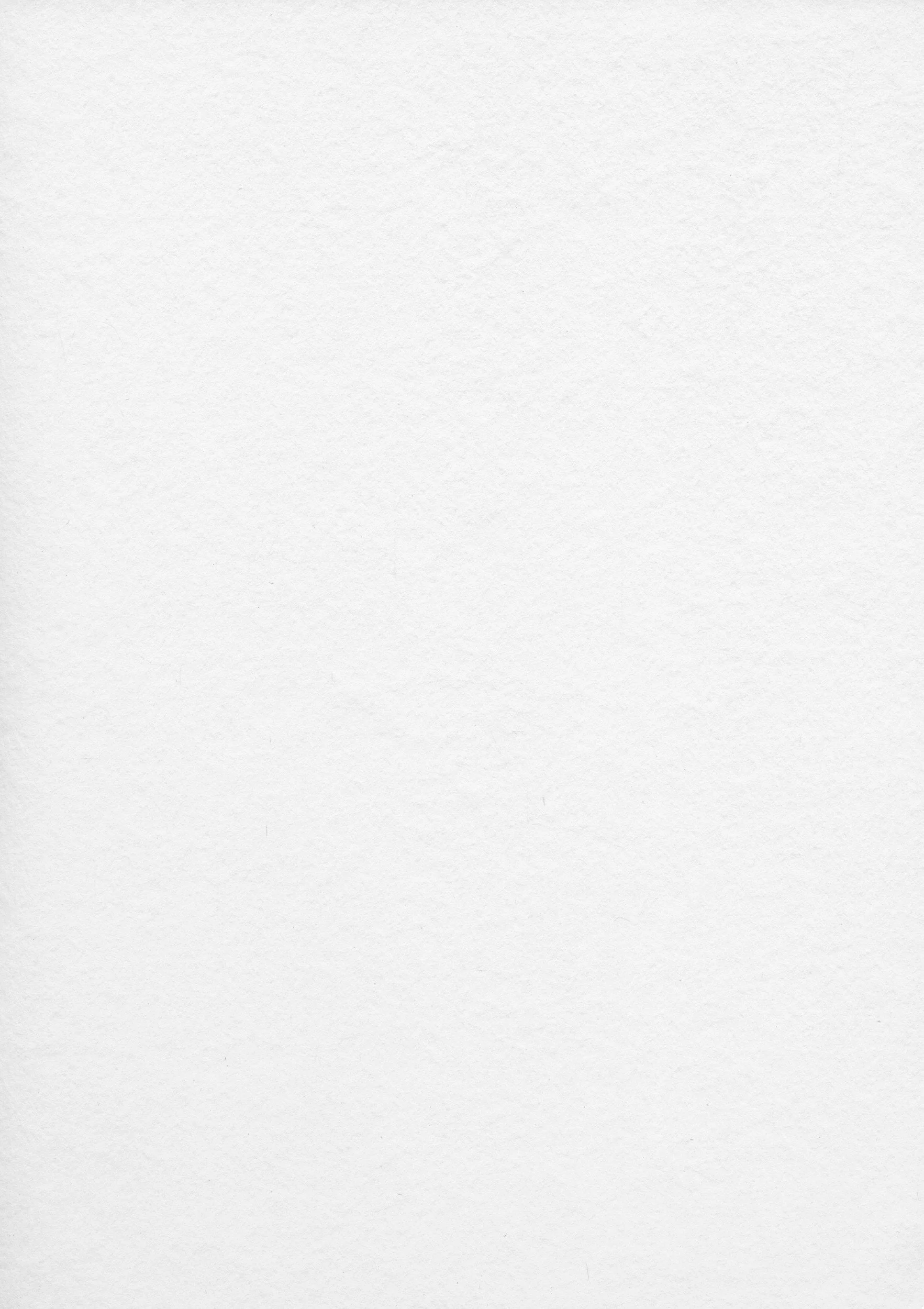 Empty white textured paper background.