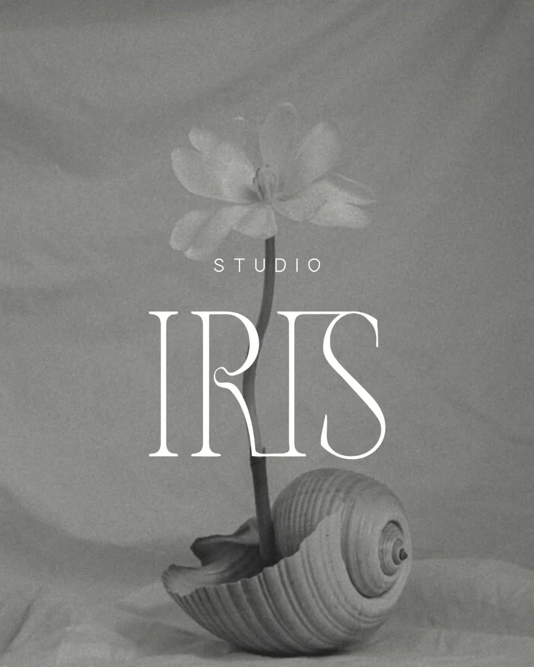 StudioIris-5.jpg