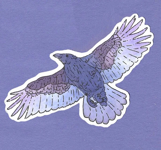 Member Vendor Payment