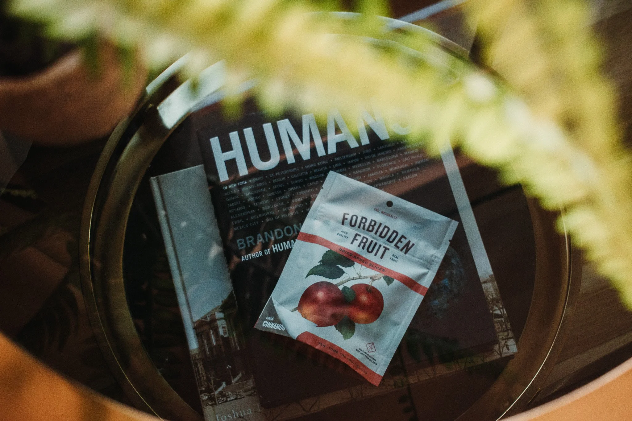 A magazine titled 'HUMAN' with a book about human rights underneath, and a packet labeled 'Forbidden Fruit' with images of apples on the packet.
