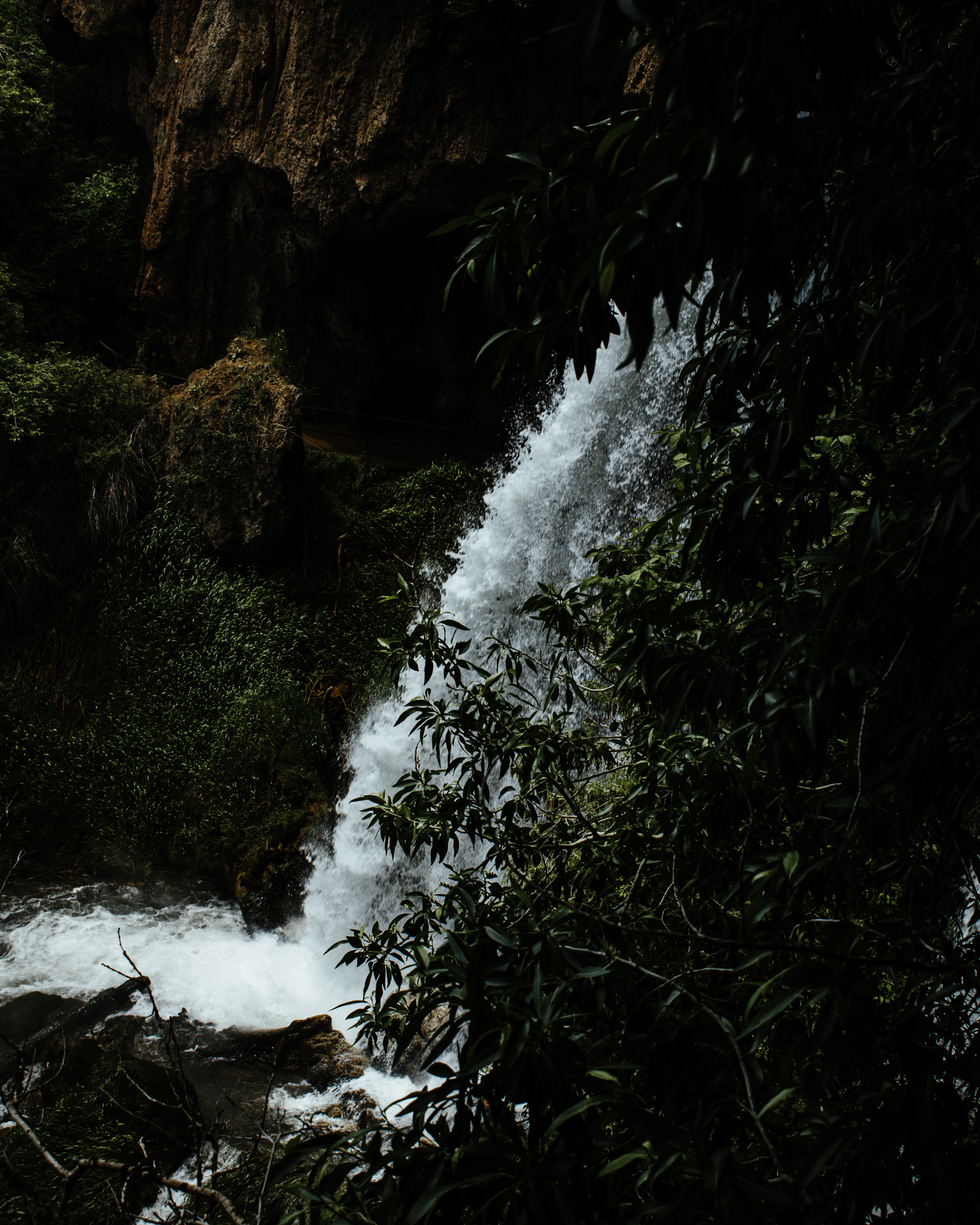 A waterfall cascading down a rocky cliff surrounded by lush green foliage in a forest.