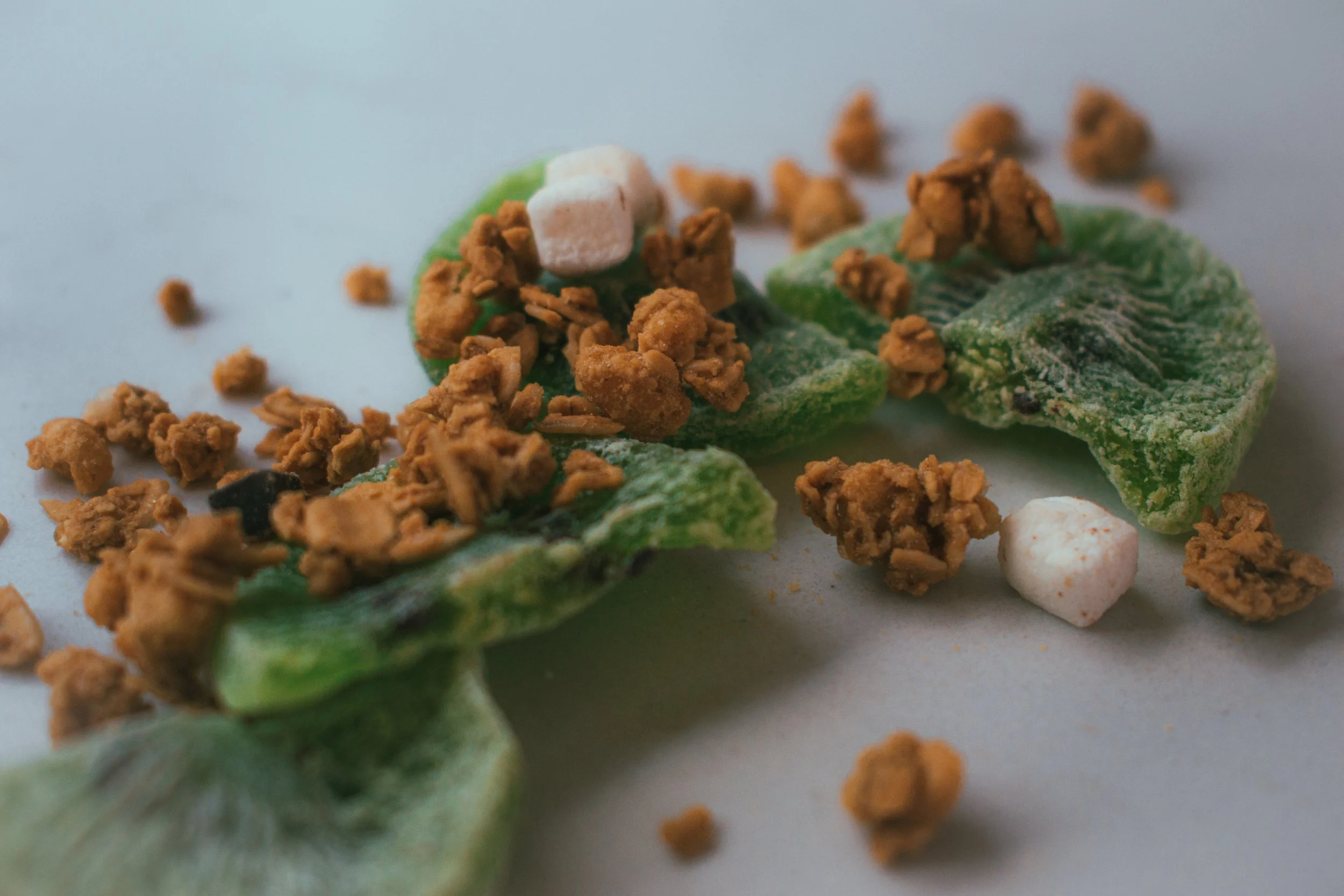 Close-up of moldy green leaves with scattered crumbs and small marshmallow pieces on a white surface.