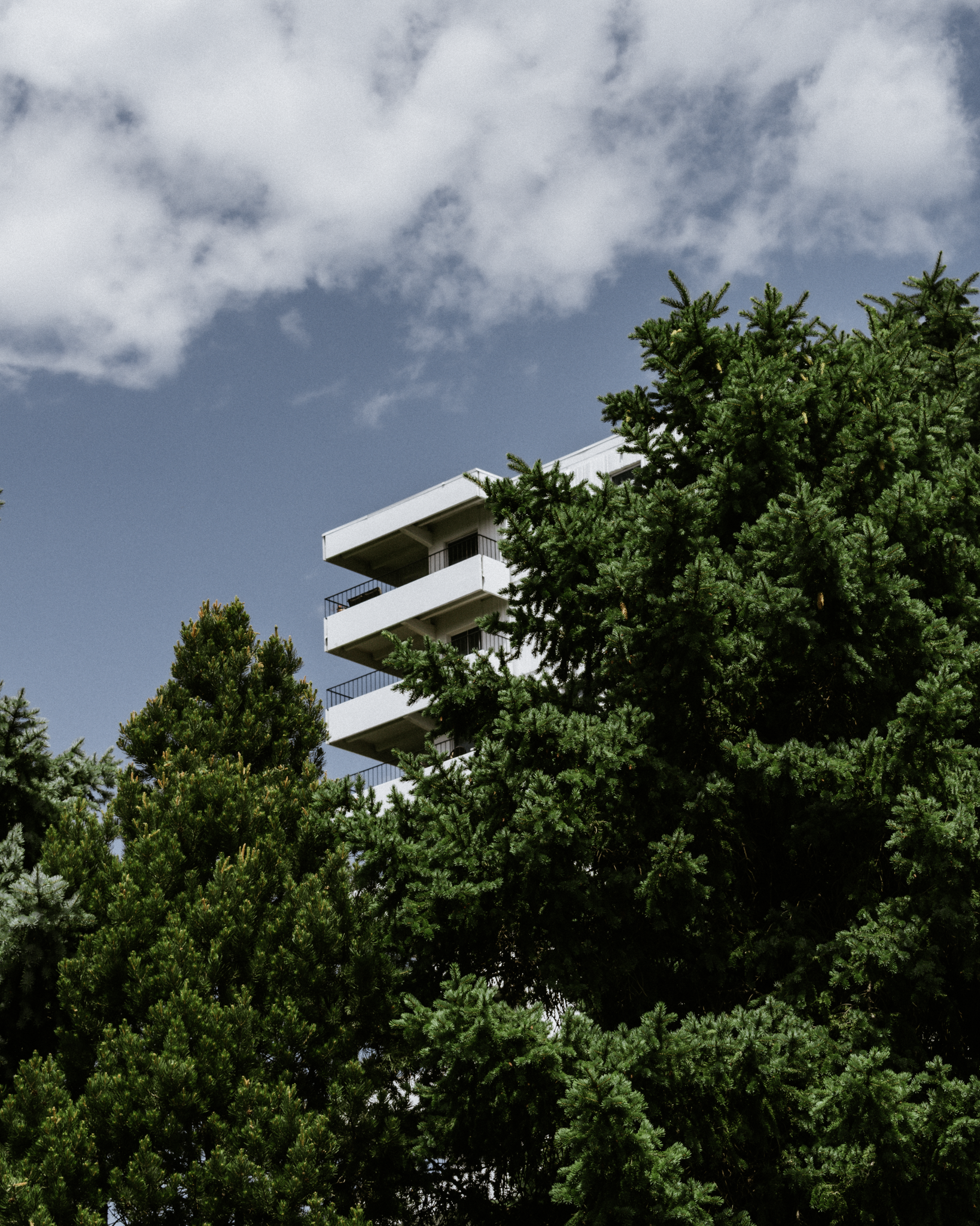 A white modern apartment building partially obscured by tall green pine trees under a cloudy sky.