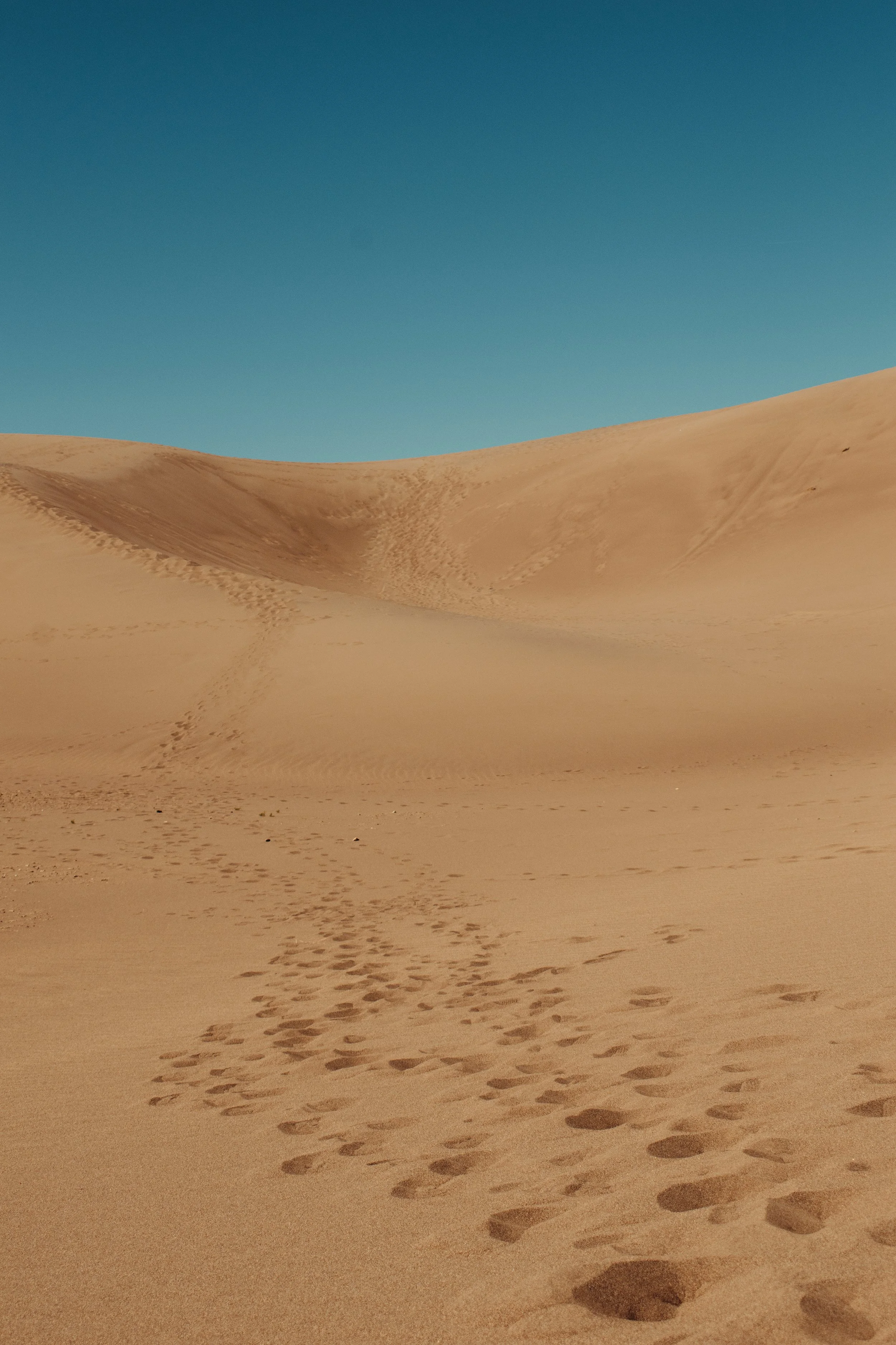 Footprints in the sand on desert dunes under a clear blue sky.