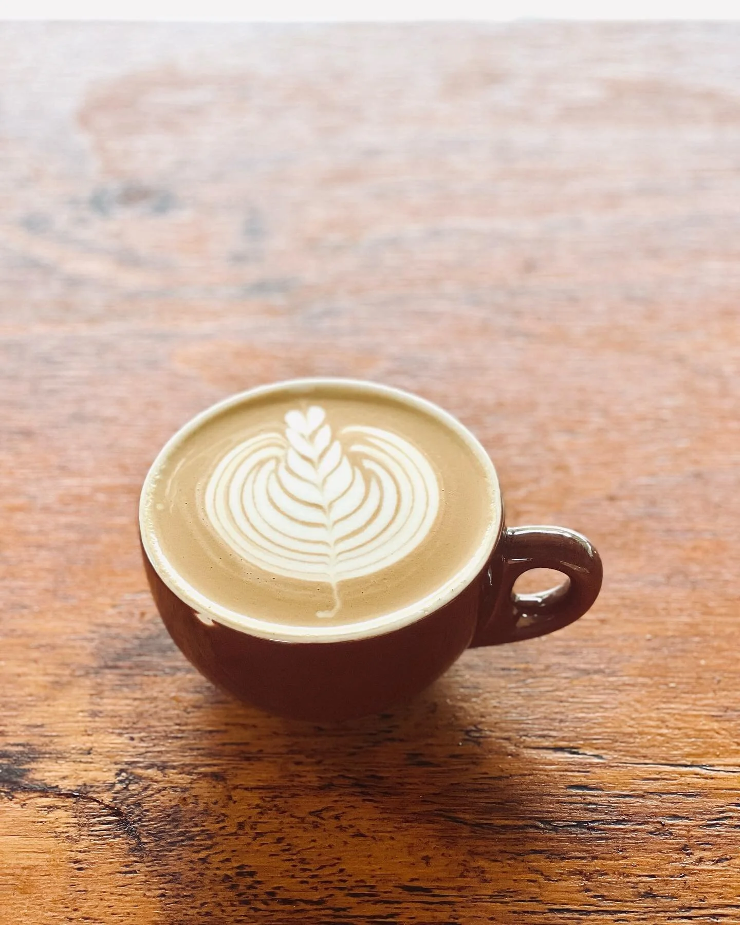 🪵 + 🔥 + 🫘 + 💦 +🥛+ 💓= ☕️ 

Ft. @thewoodroaster

#lordhoweisland
#coffee