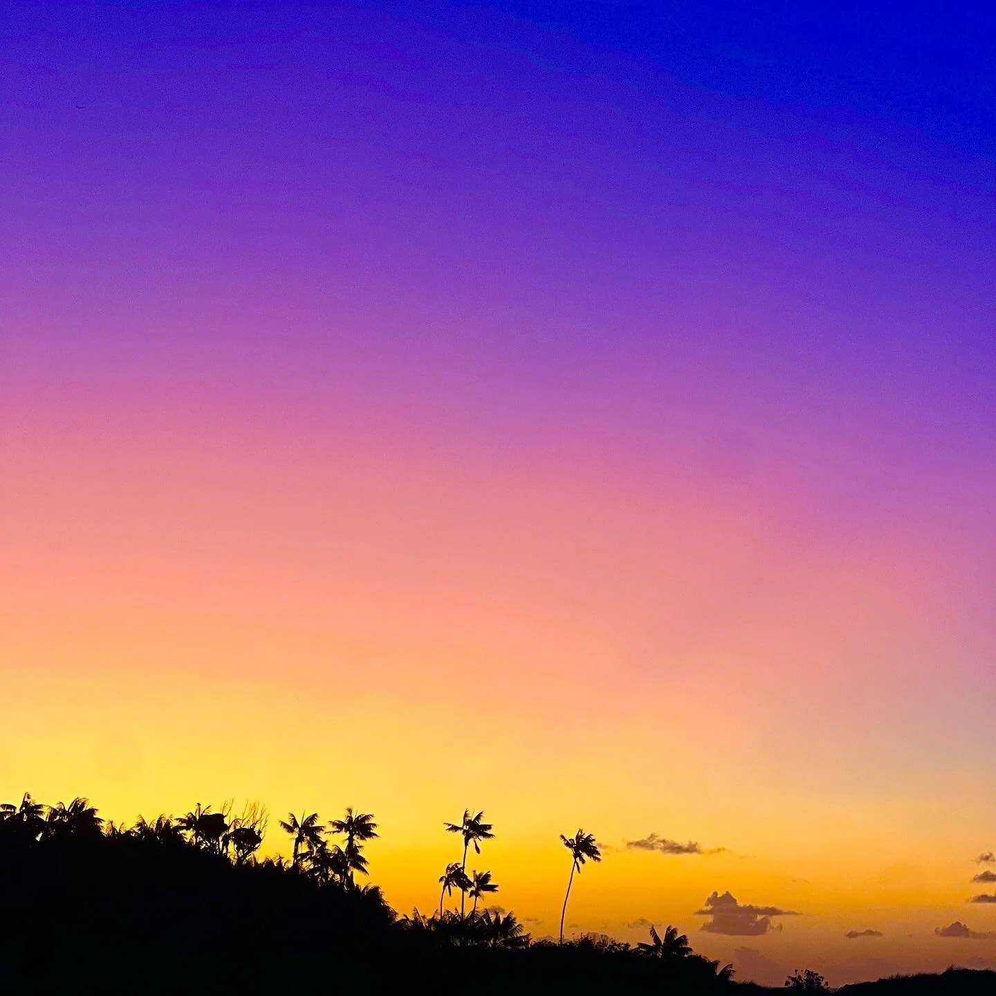 Lord Howe Island Love Beans un-officially drop Sunday, open 7-11am&hellip; 🫘 🫘 🫘 

Think Christmas, Stimulants, Happiness, Love &amp; General Summer Holiday Spirit all bagged up ready for you to go and spread some crazy around town. 🎅🏽 

Did I s