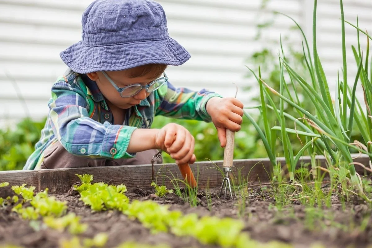 Week 2: How Does Your Garden Grow?