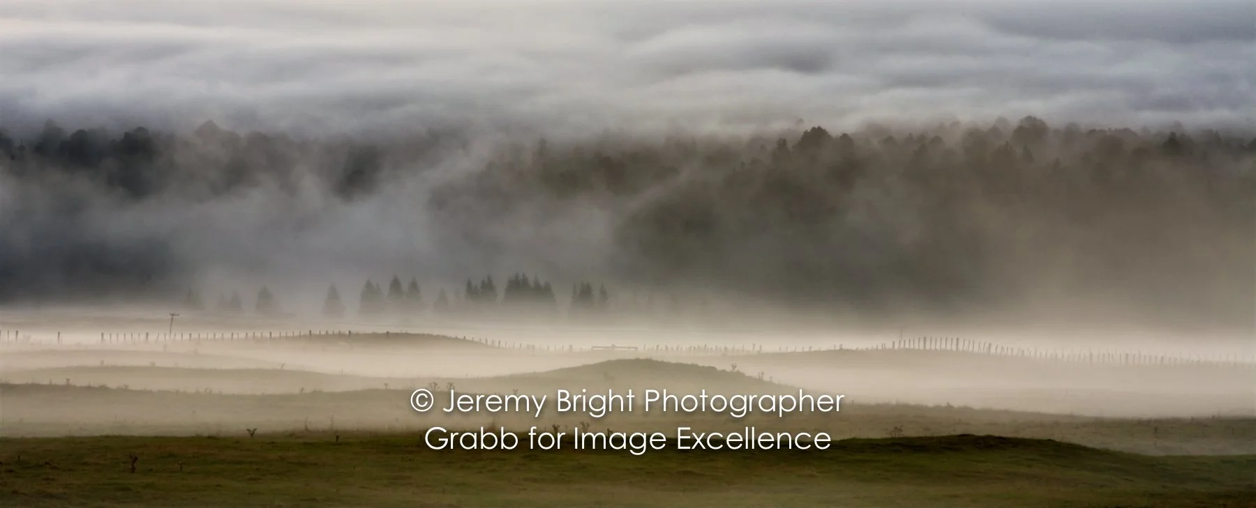 Encroaching-mist-across-pasture-8.jpeg