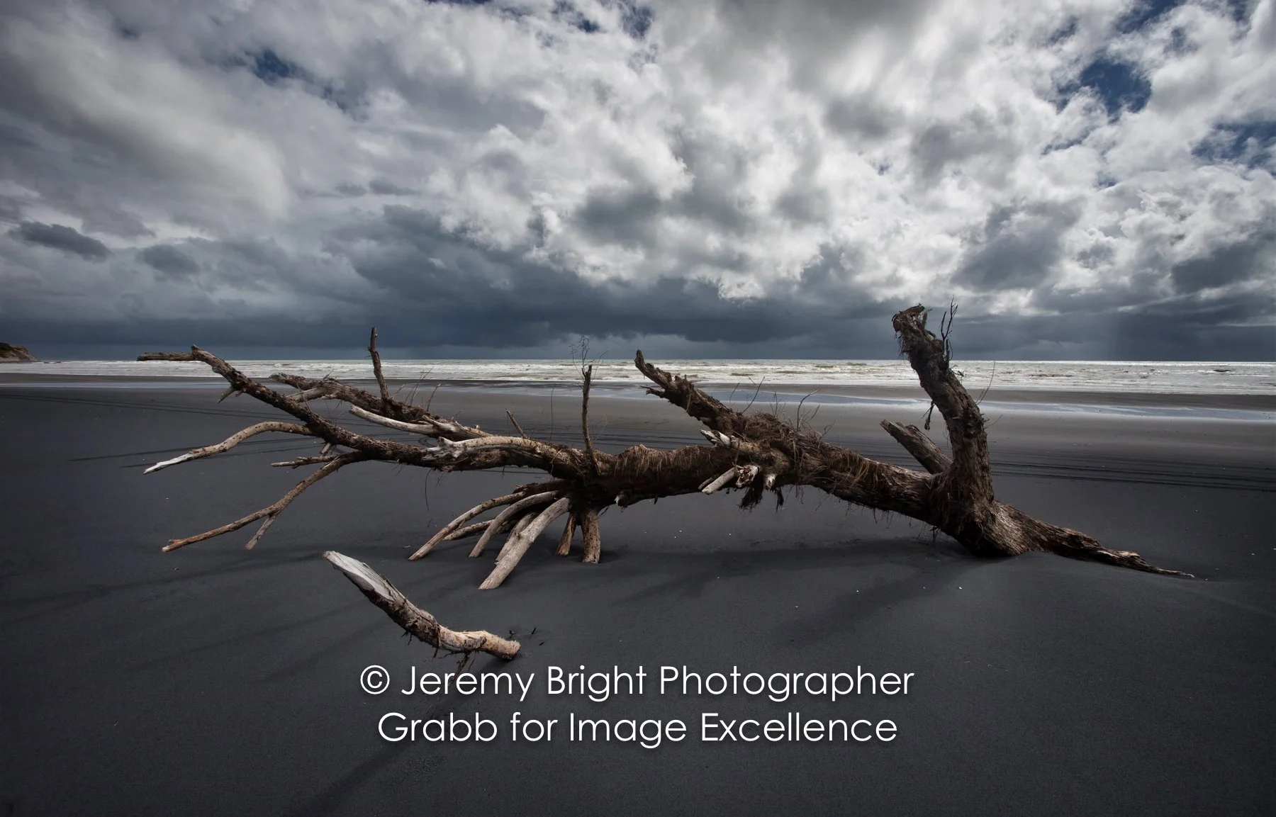 Awakino-beach-driftwood-coastal-Taranaki_003-Edit-2.jpeg