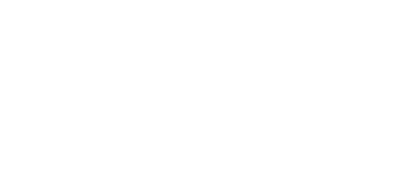 Bold Type Agency