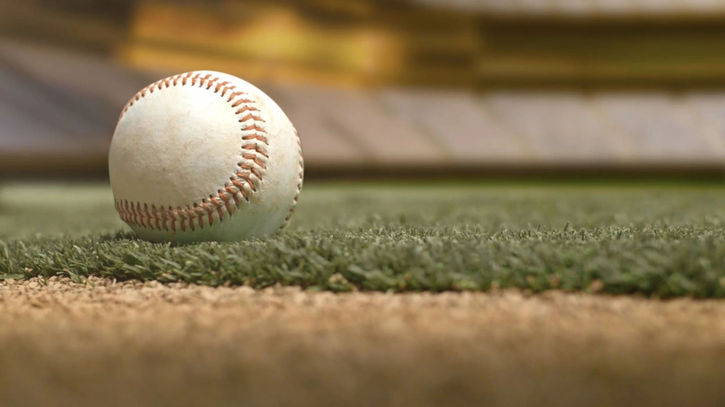 Panasonic x NY Yankees